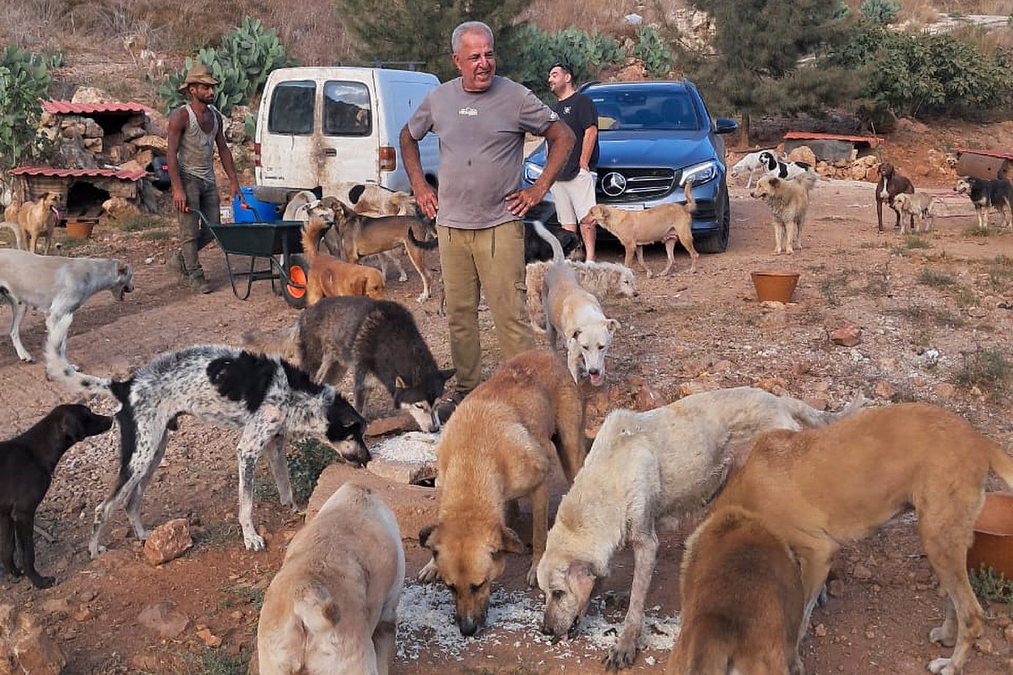 Lebanon Israel Saving Pets