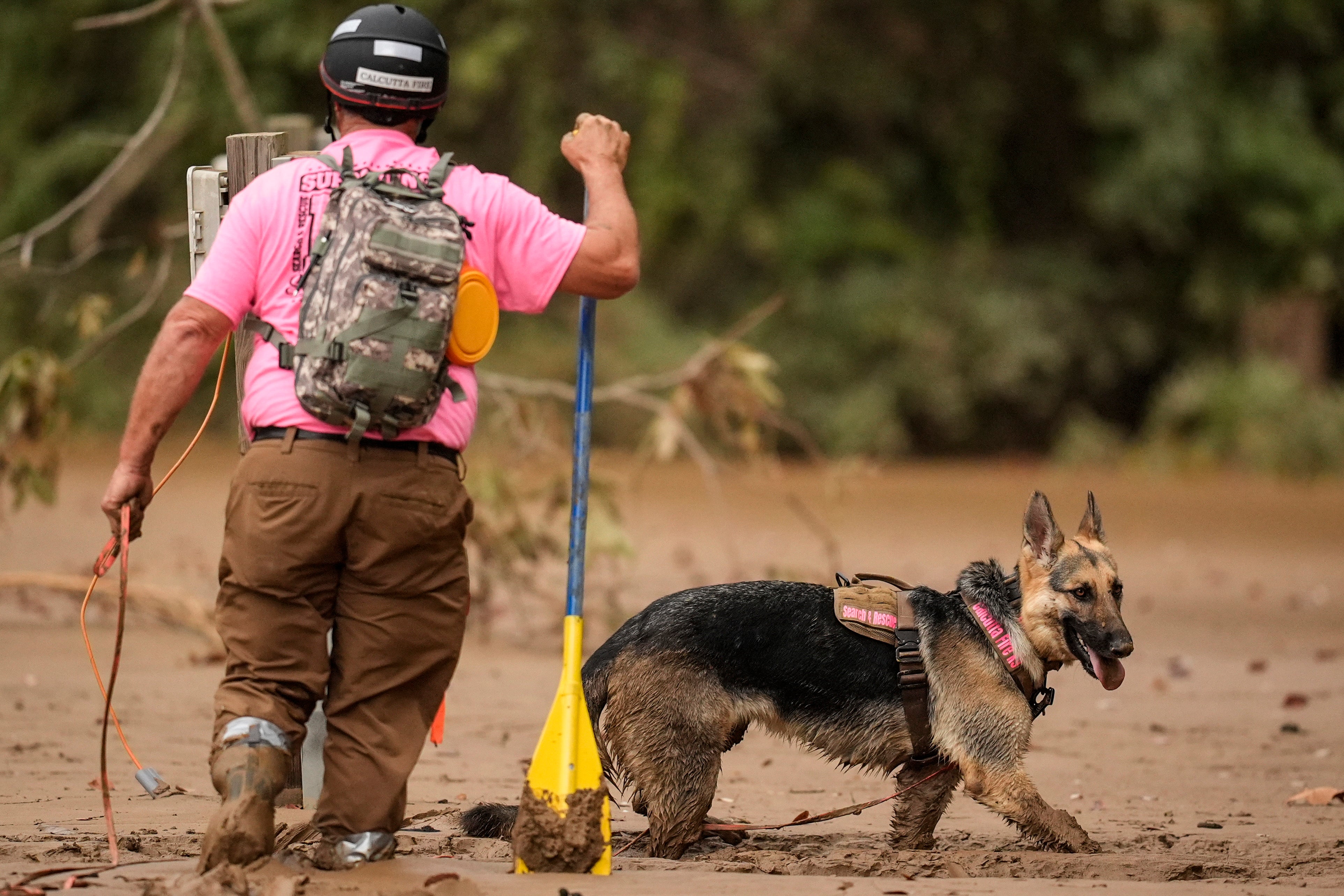 A search and rescue dog and handler searches for victims through thick mud in the aftermath of Hurricane Helene in North Carolina on Tuesday.