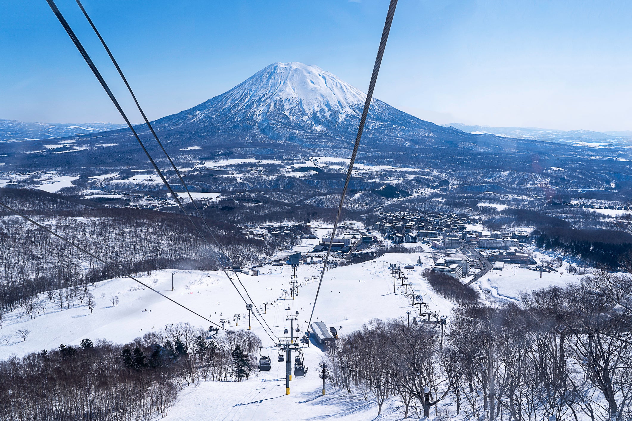 Niseko is home to some of the world’s best snow