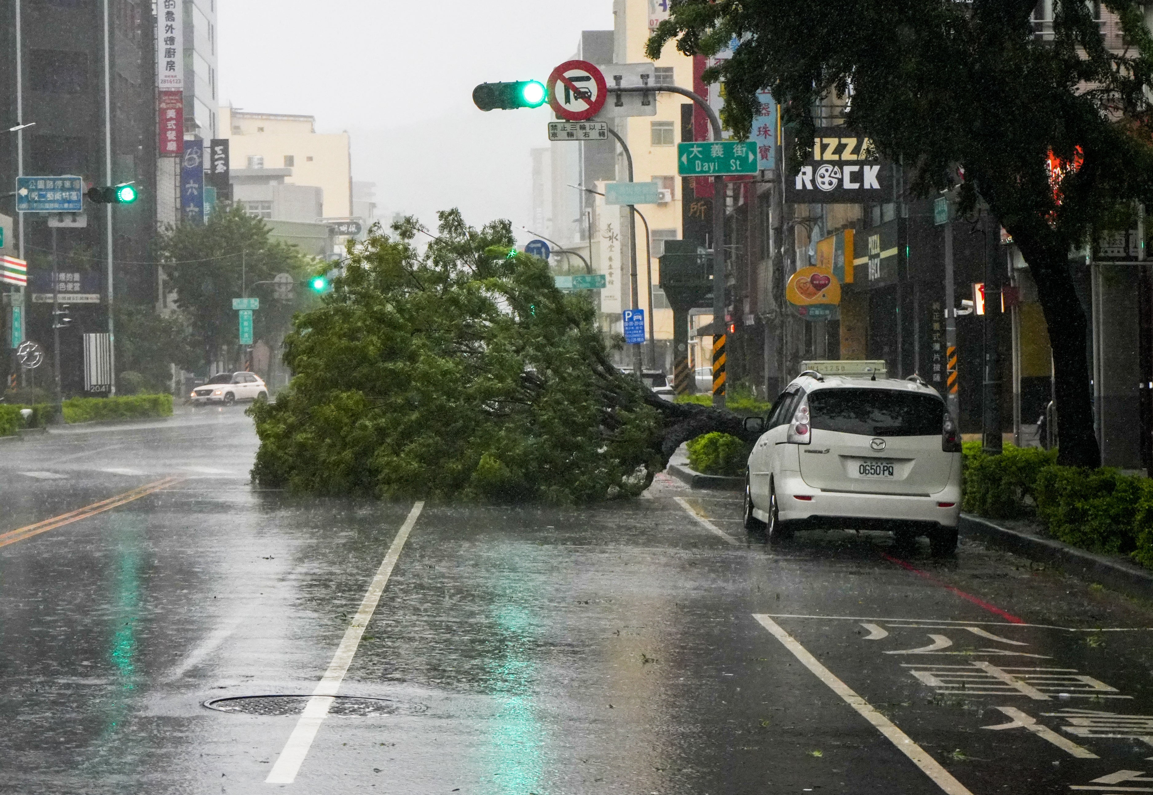 A car is parked next to a fallen tree as Typhoon Krathon nears Kaohsiung