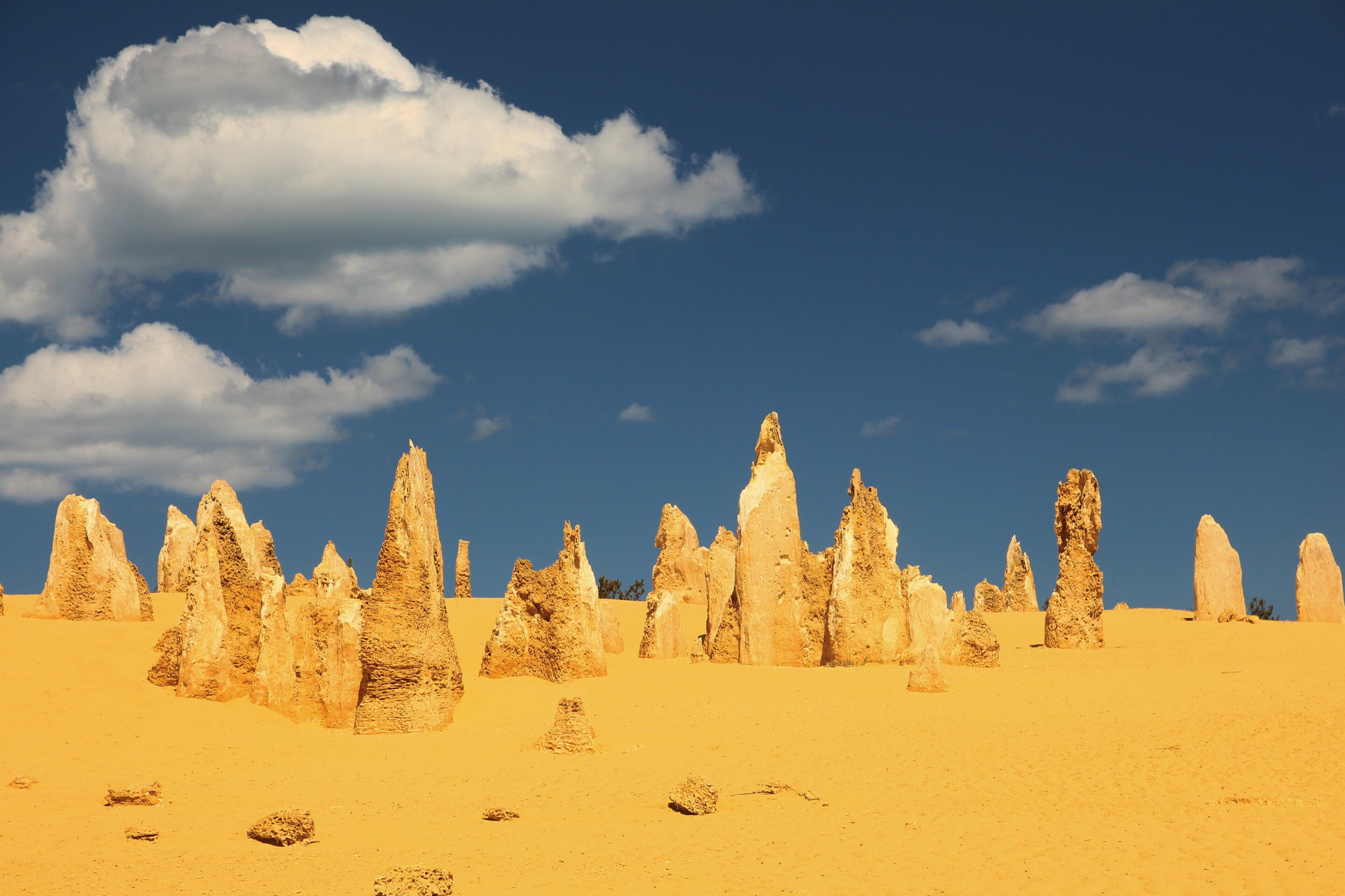 Pinnacles at Nambung National Park