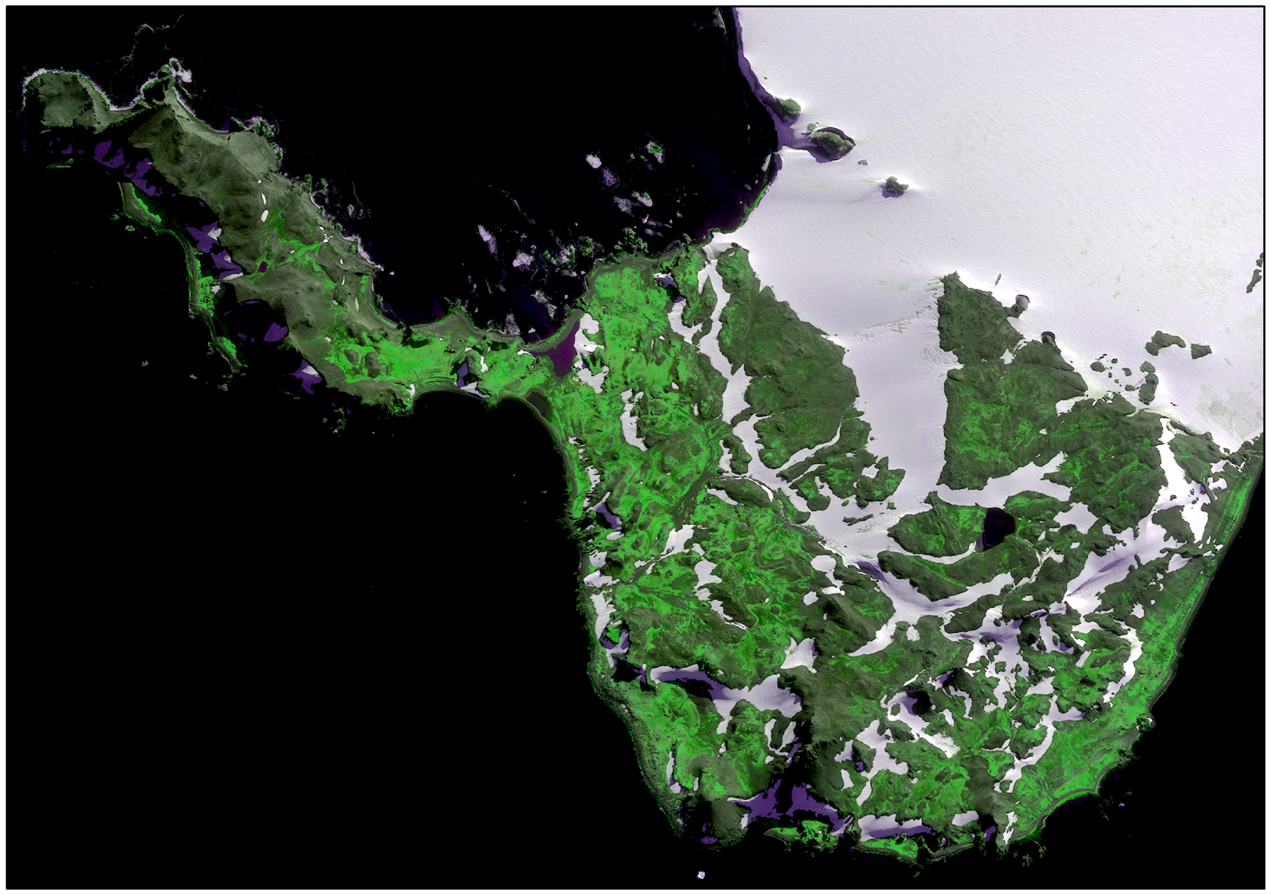 A satellite image of Robert Island, in the Antarctic Peninsula, showing areas of vegetated land in bright green