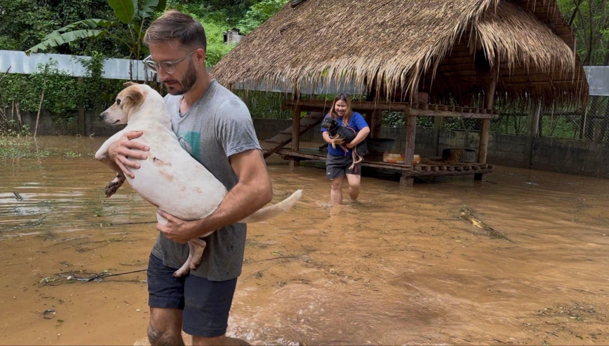 Volunteers rescue animals after floods