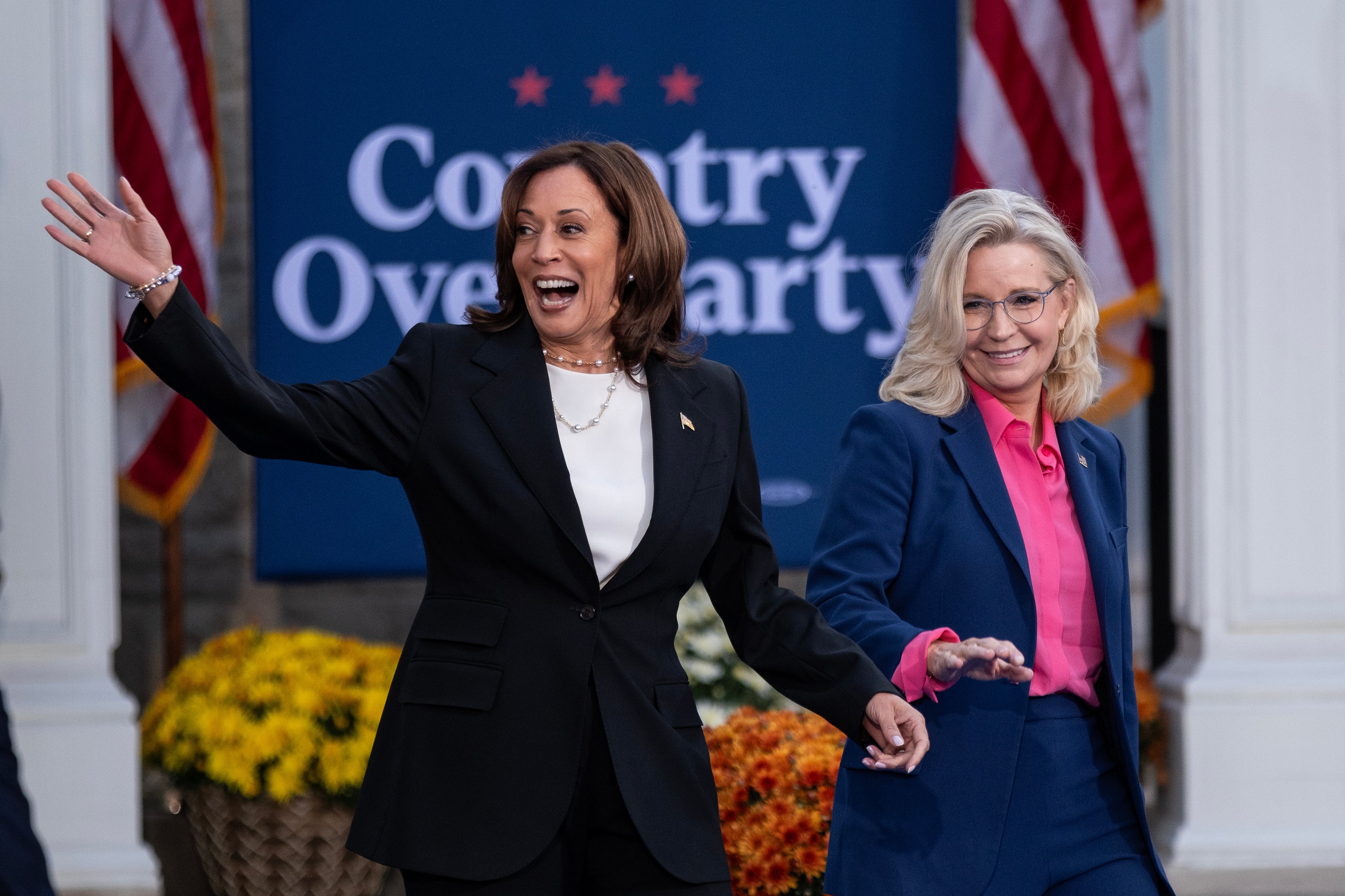 Republican Liz Cheney has been campaigning with Kamala Harris