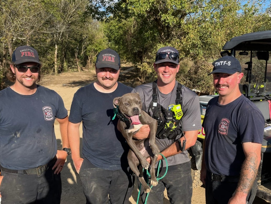 Rescuers proudly pose with Athena the dog after finding her in a tree