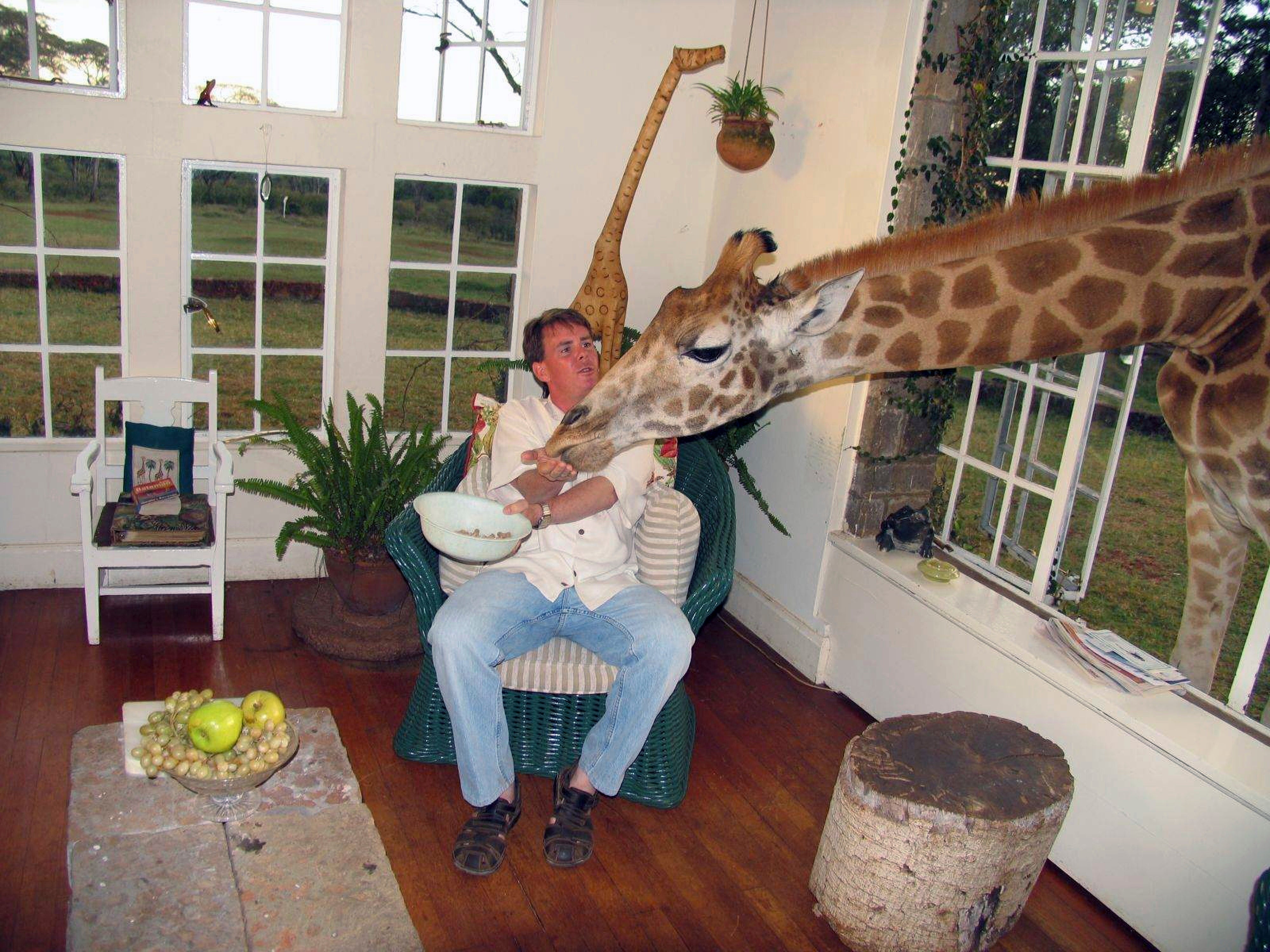 Hurricane Helene Tree Death