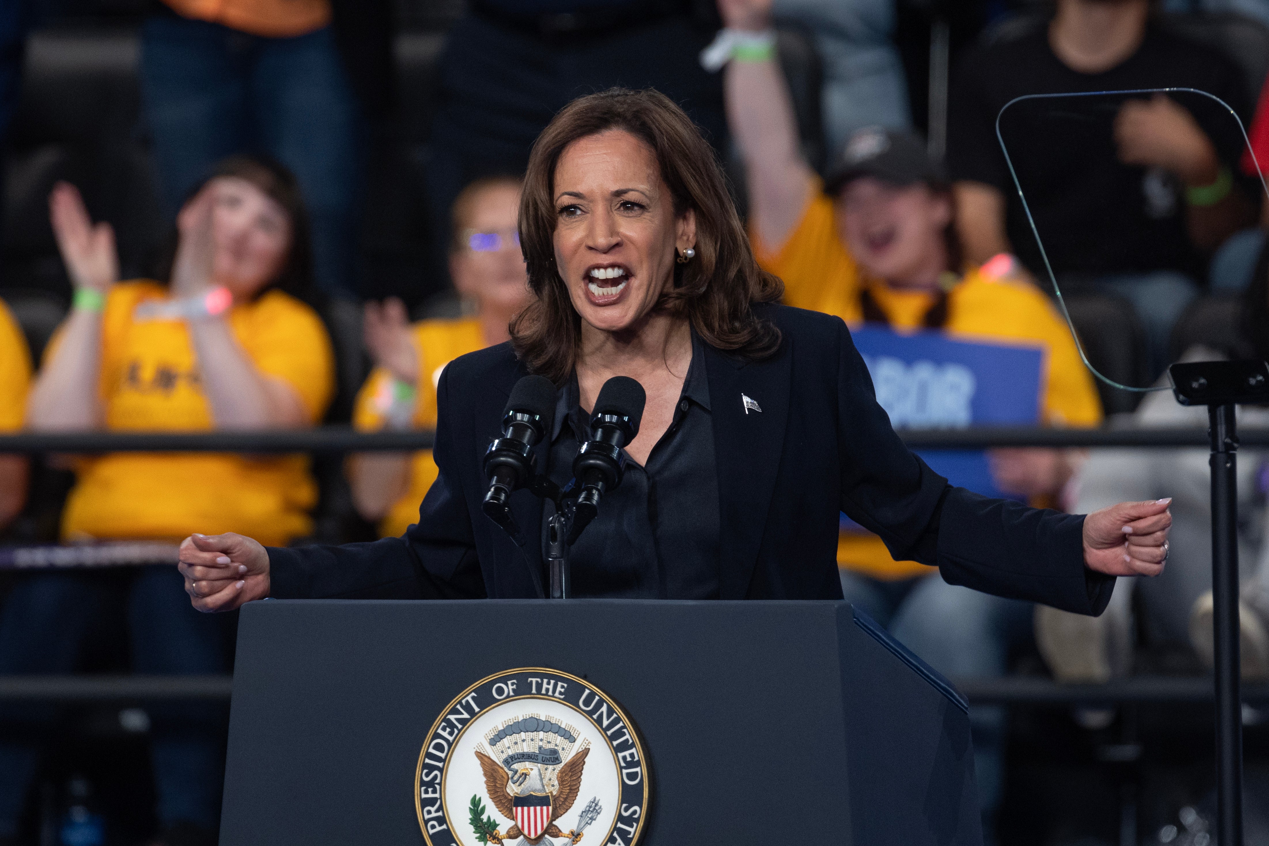 Vice President Kamala Harris speaks at a rally in Flint, Michigan