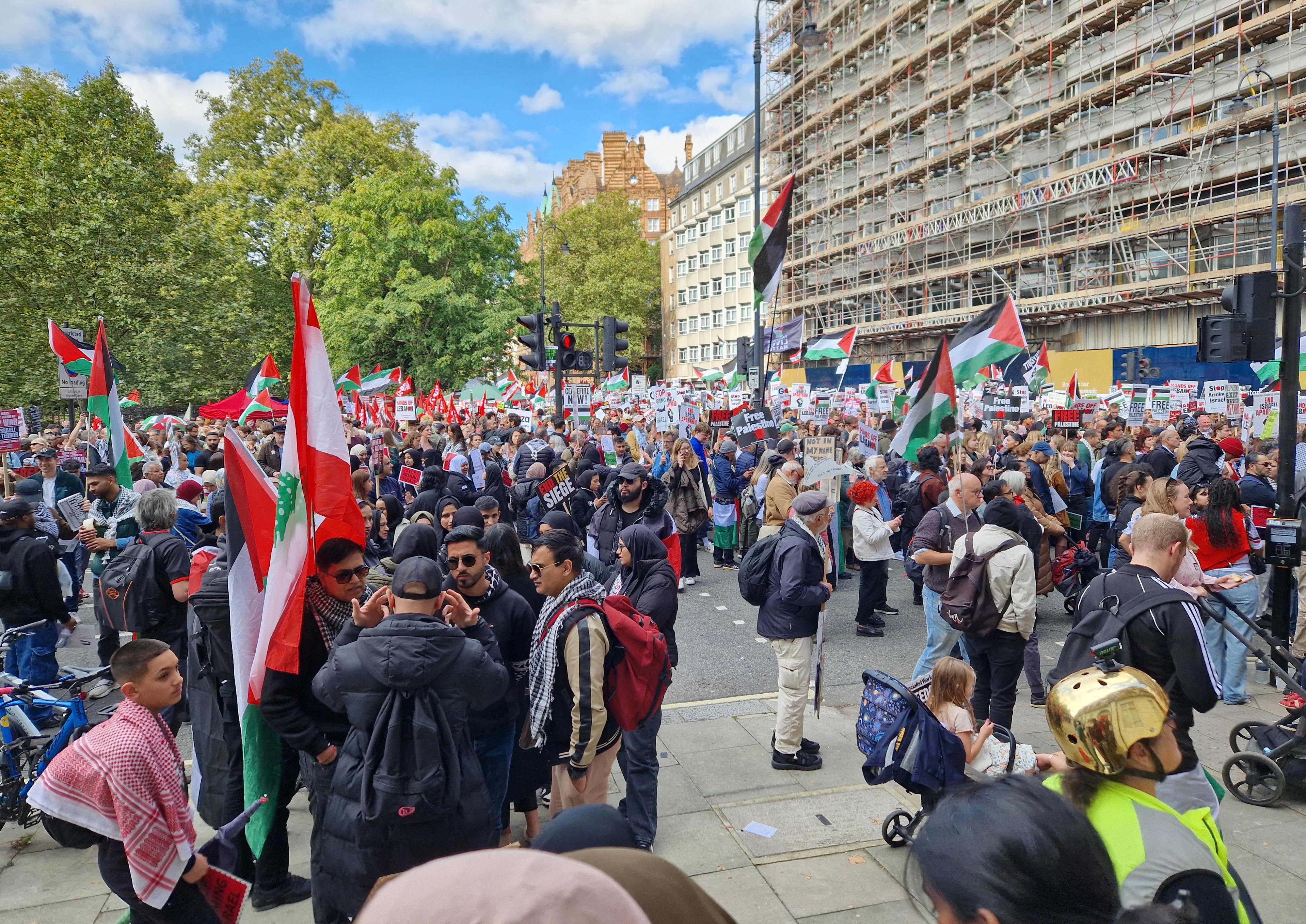 Pro-Palestine demonstrators march in central London organised by the Palestine Solidarity Campaign