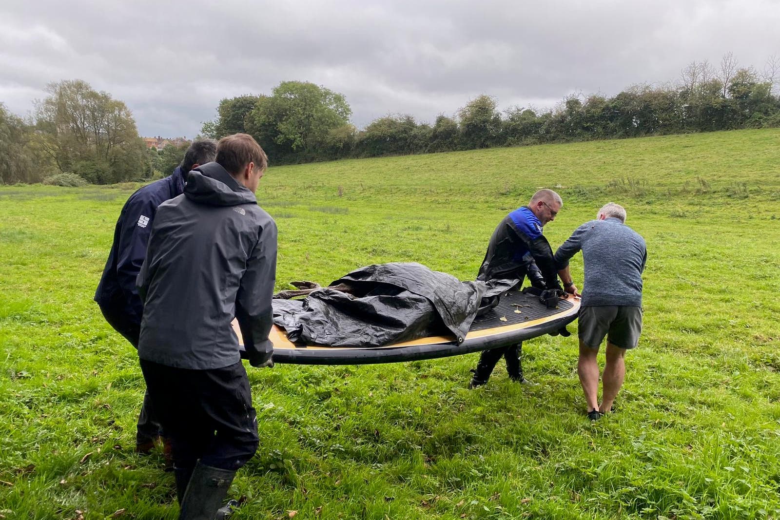 Irwin the emu was found dead days after going missing (Malmesbury Animal Sanctuary)