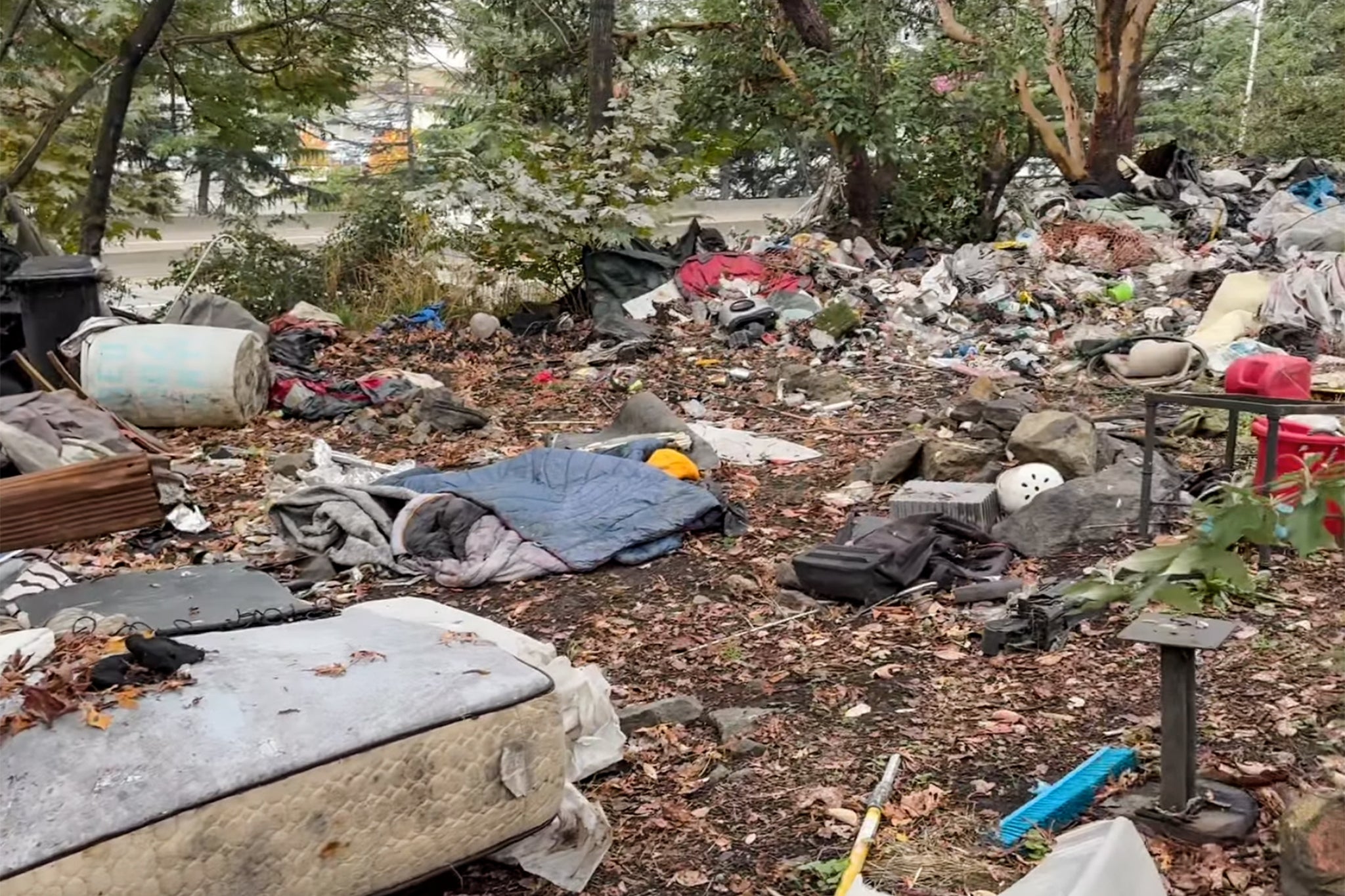 Shannon Marie Caslin Reeder’s body was found among the trash in East Duwamish Greenbelt while volunteers were cleaning up the area (pictured)