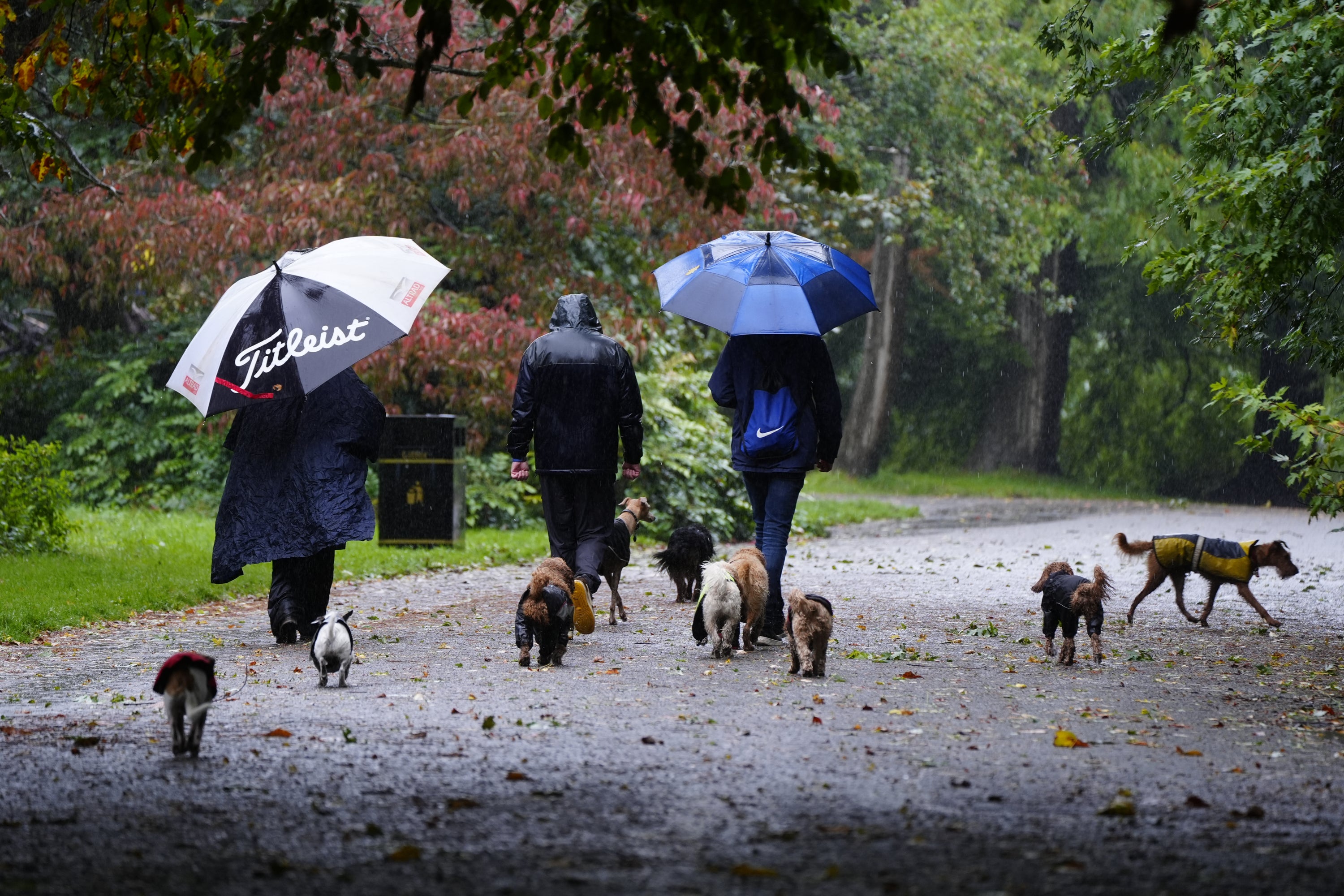 Britons are also being warned of thunderstorms in places throughout the week, with the potential for ‘torrential downfalls’ over the weekend and possible weather warnings to be issued