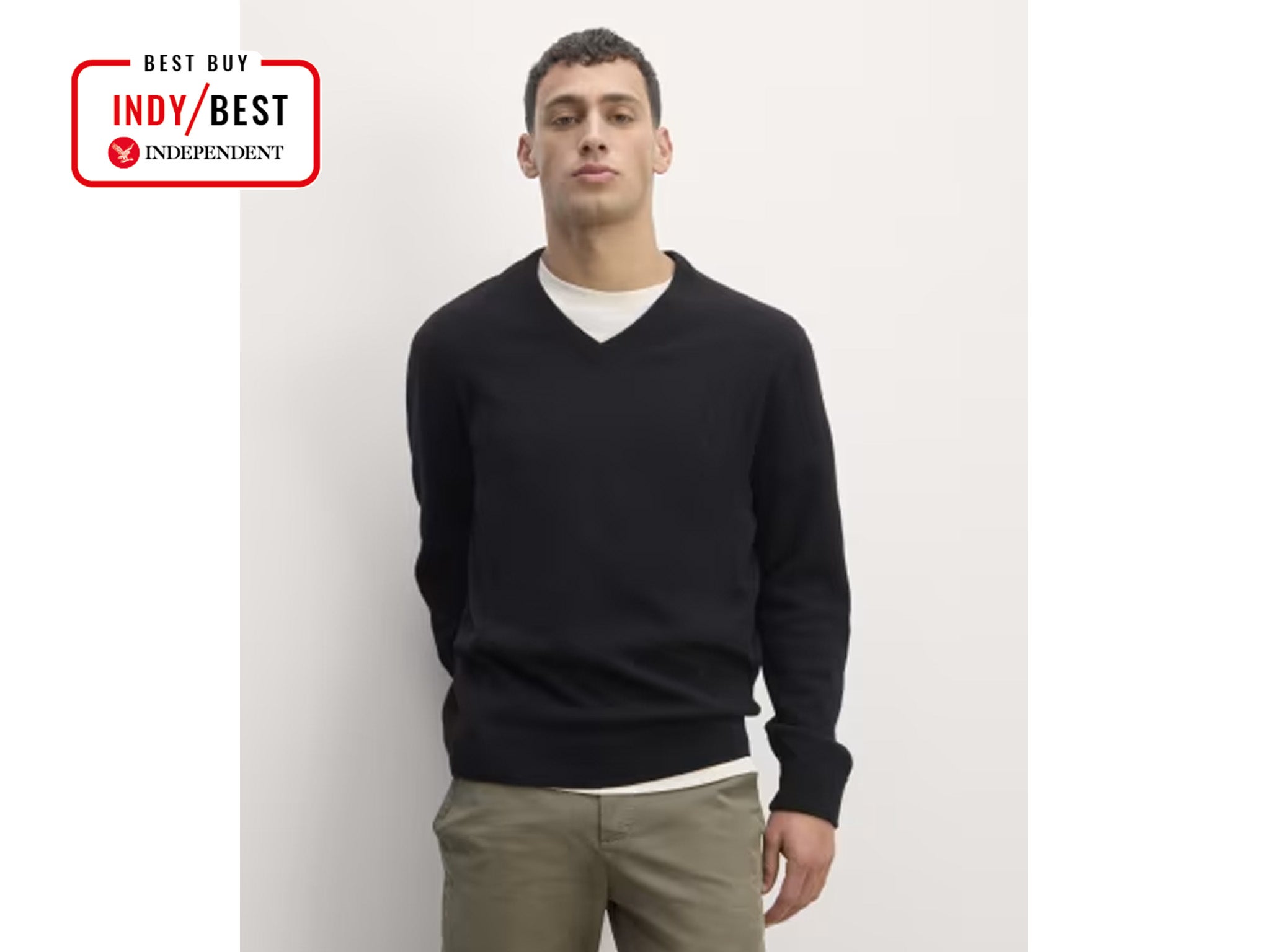 Everlane the cashmere V-neck sweater