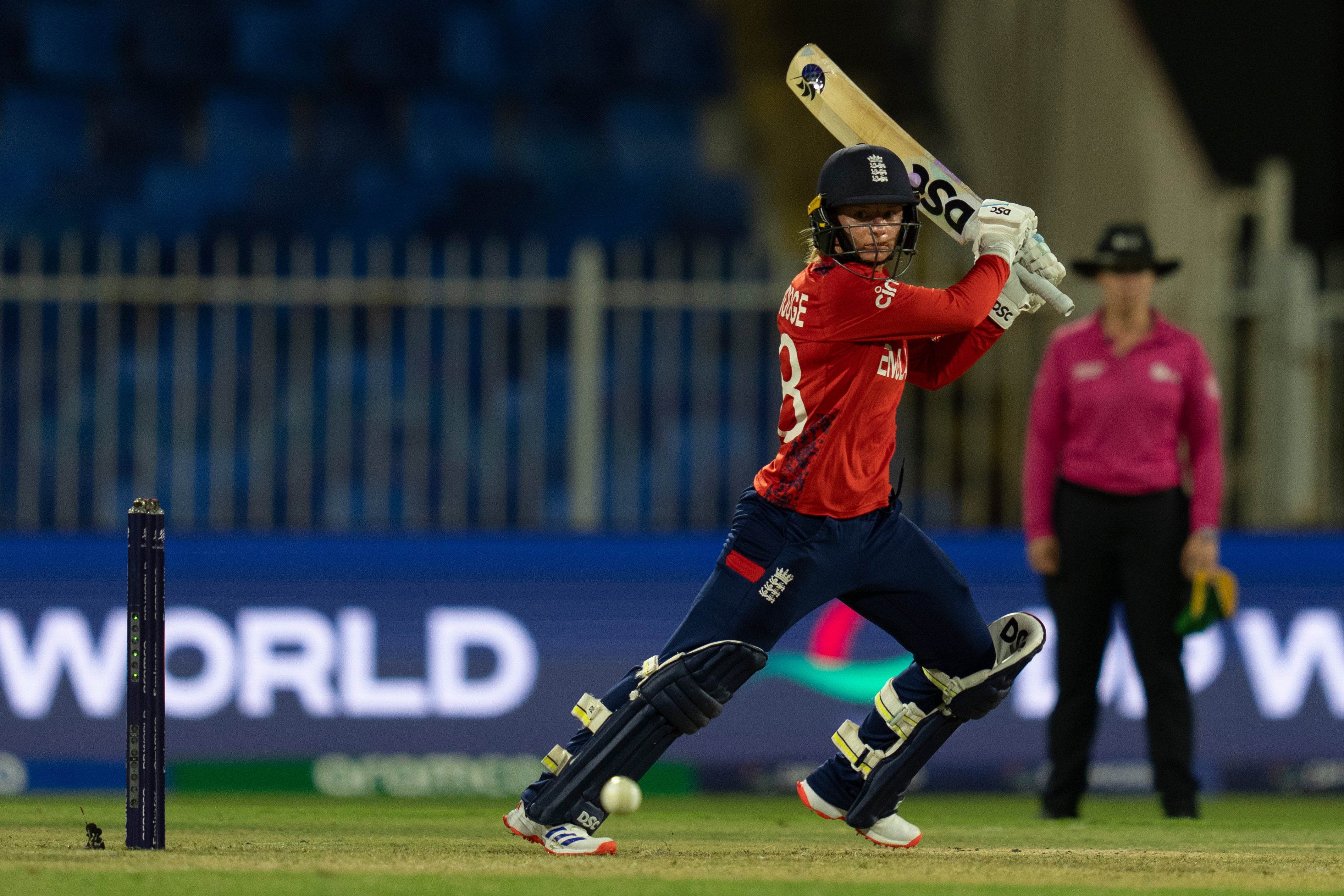 Danni Wyatt-Hodge (pictured) and Nat Sciver-Brunt steered England to victory