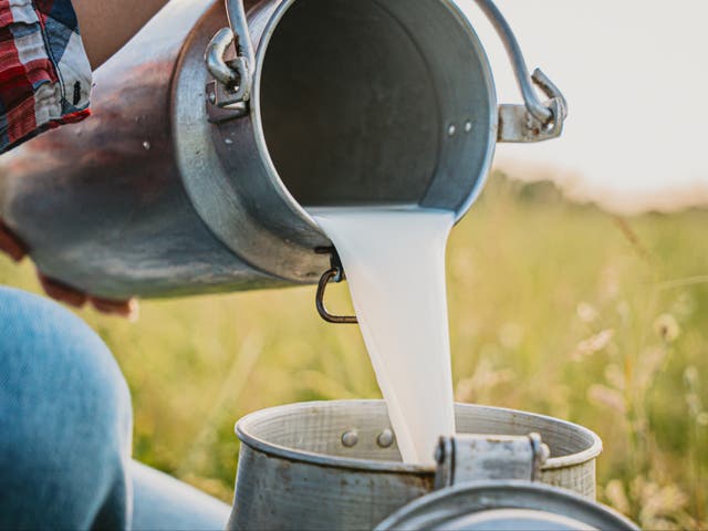 <p>Raw milk is seeing a resurgence in sales</p>