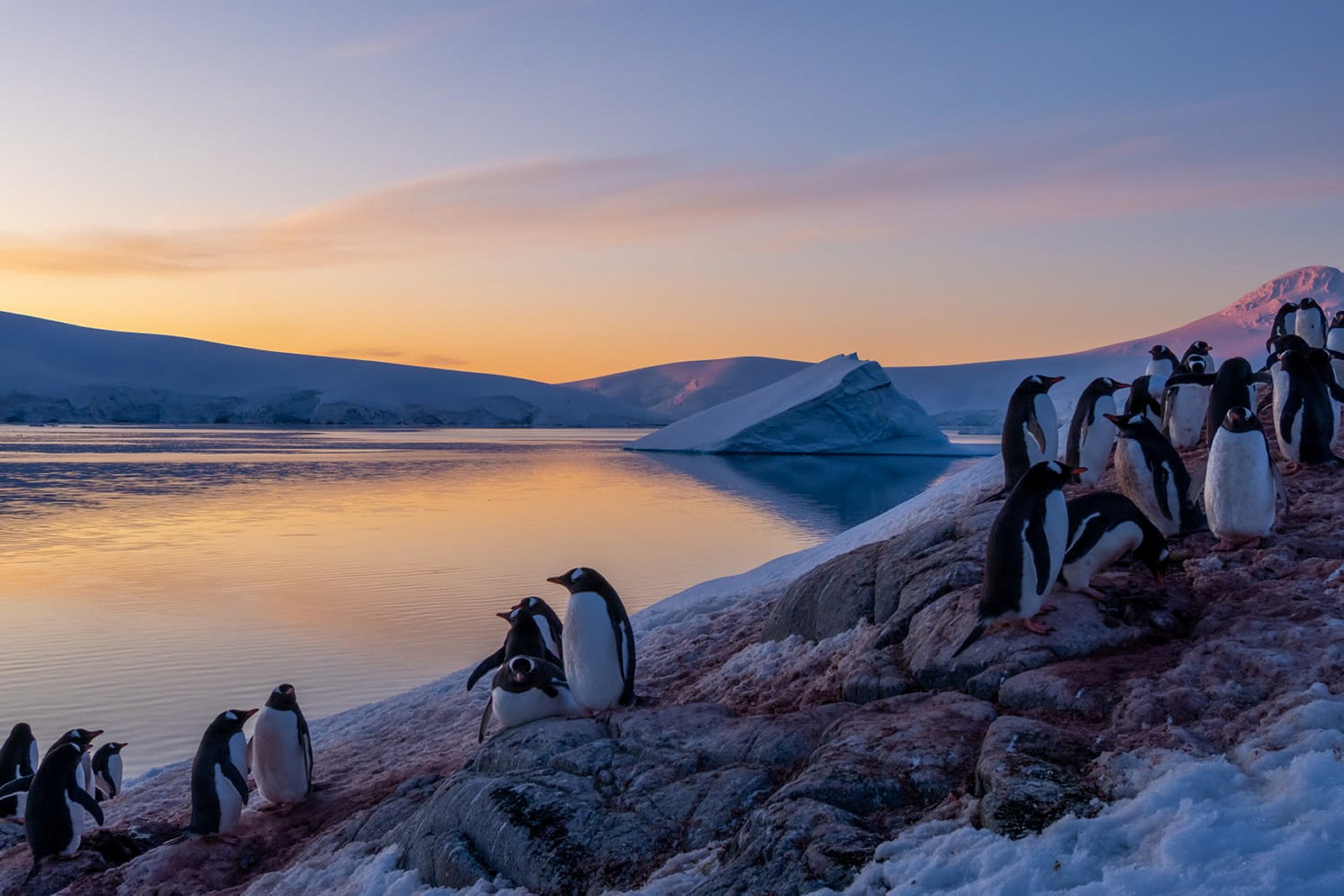 UKAHT is sending two teams 9,000 miles south to manage a base at Port Lockroy on Goudier Island and to Blaiklock Island Refuge in Antarctica