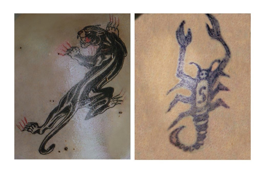 A woman in Italy had two tattoos: one on the right shoulder blade depicting a panther, and another on her left shoulder of a scorpion with the number “5” or letter “S” on its back