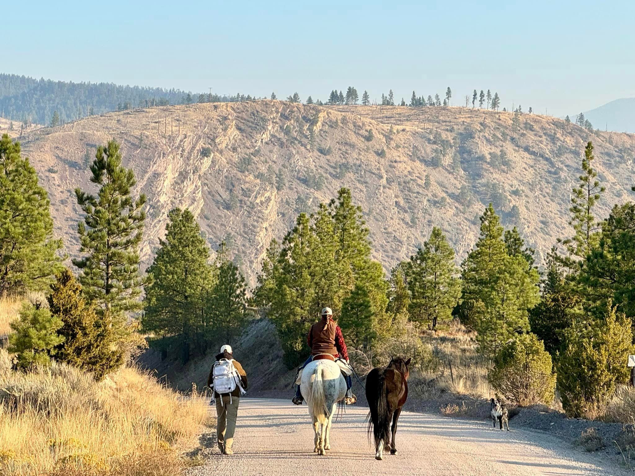 Volunteers searching for Meghan Rouns who disappeared while riding her horse near Helena, Montana on Friday