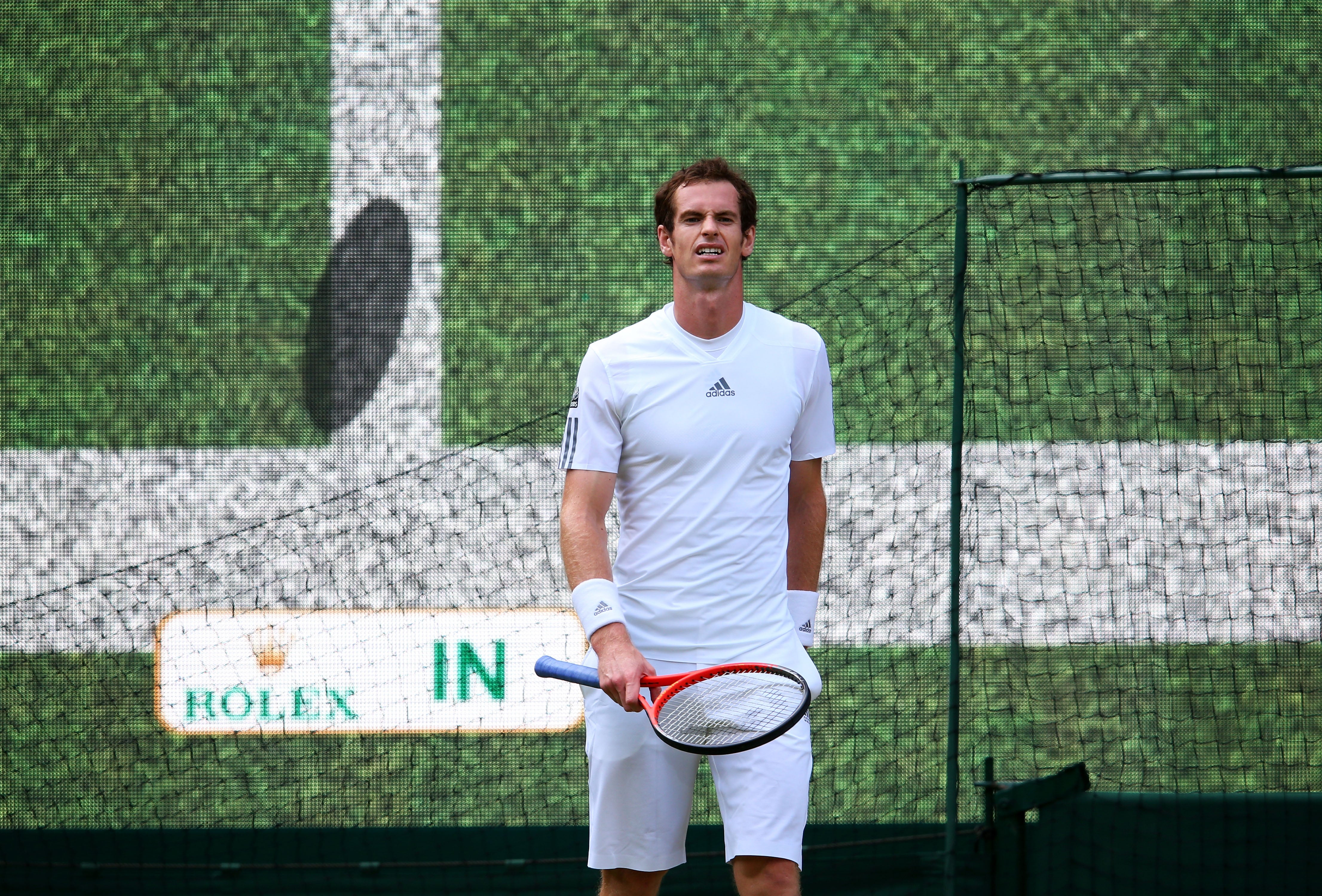 Andy Murray reacts to a Hawk-Eye decision at Wimbledon