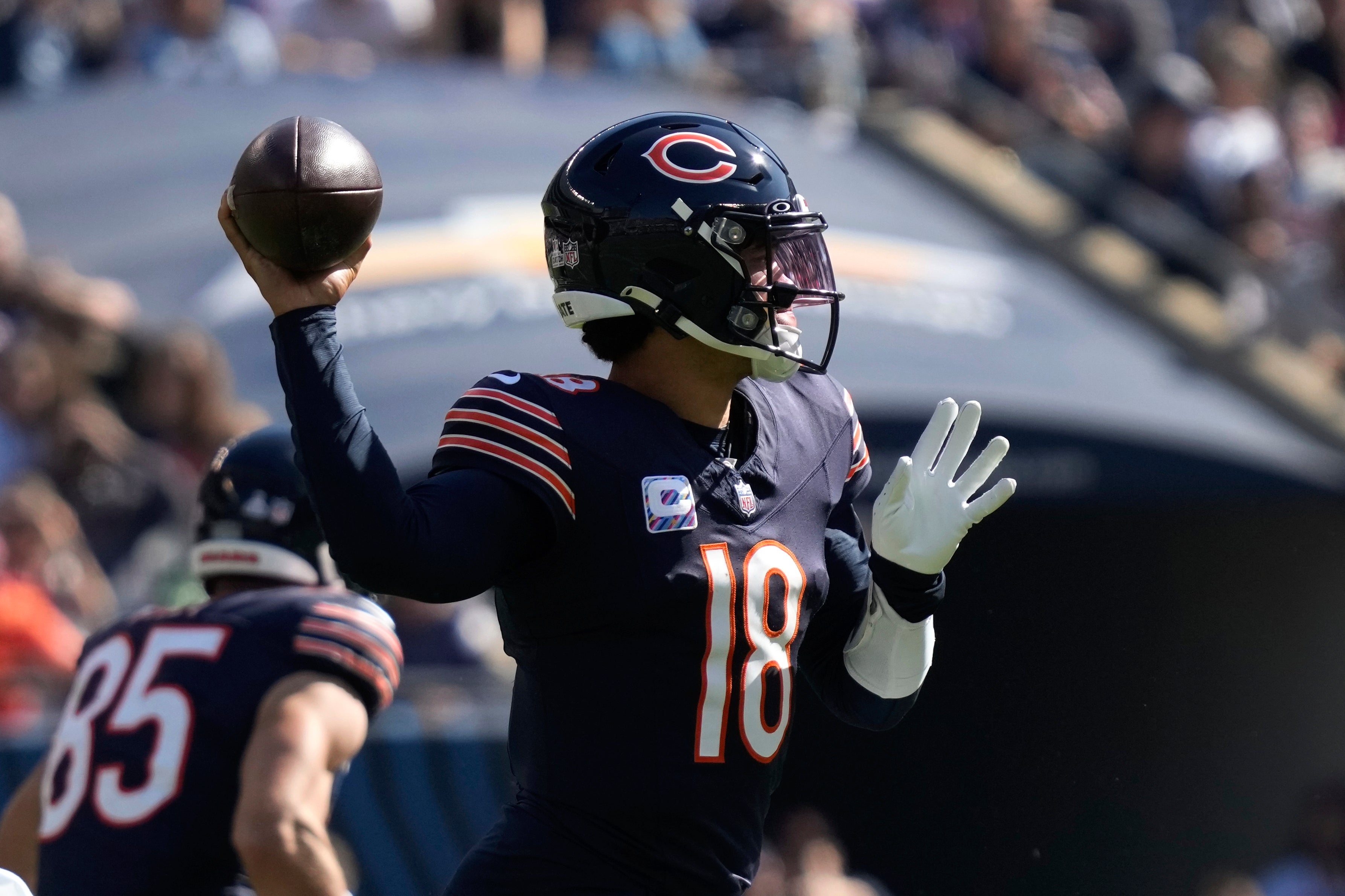 Panthers Bears Football