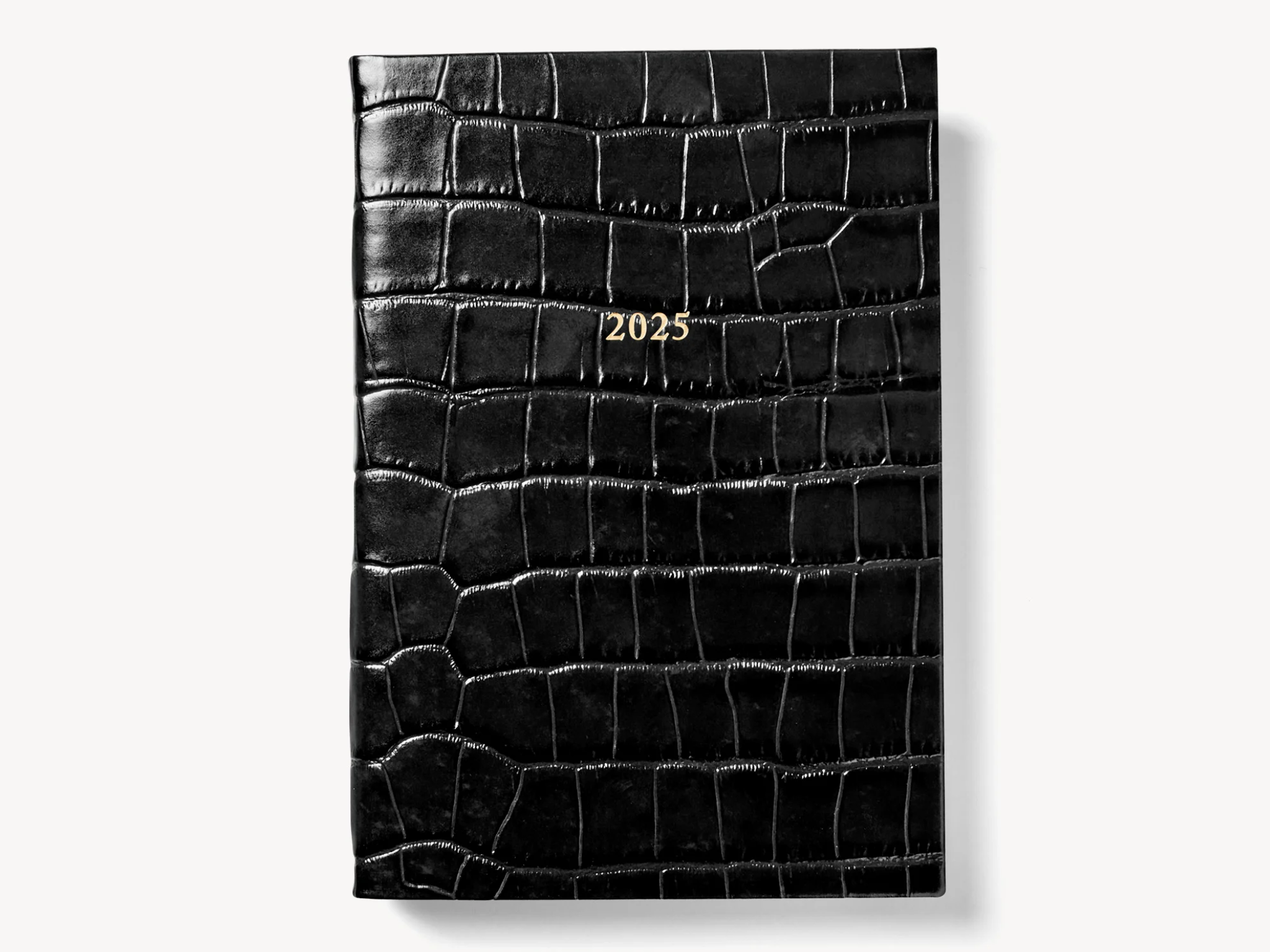 Aspinal of London 2025 A5 day to page leather diary