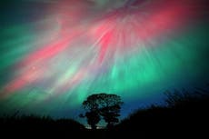 In Pictures: Another spectacular display as Northern Lights burn brightly