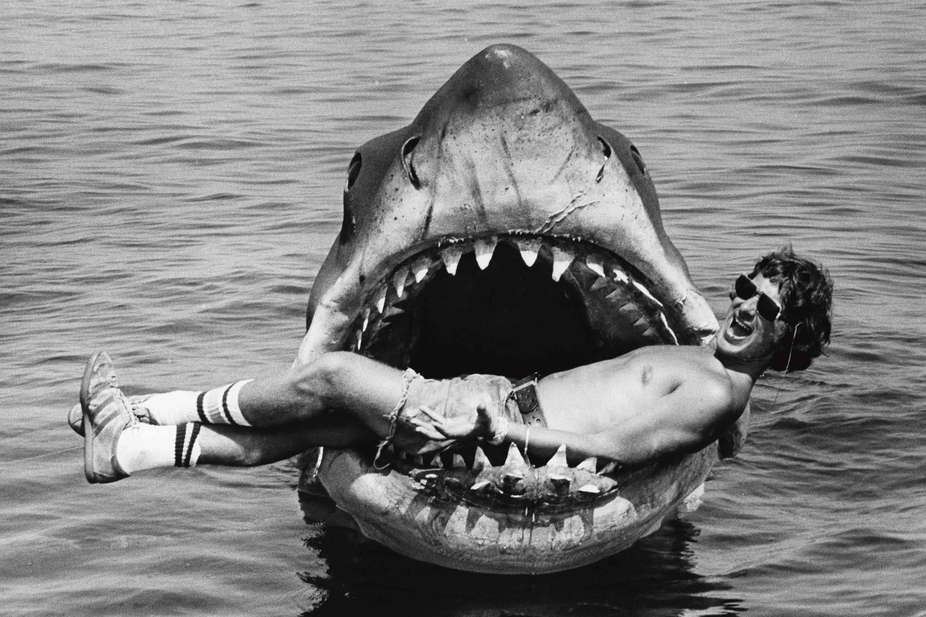 Jaw-dropping: Steven Spielberg with mechanical shark Bruce (named after the director’s lawyer) on the set of ‘Jaws’ in 1974