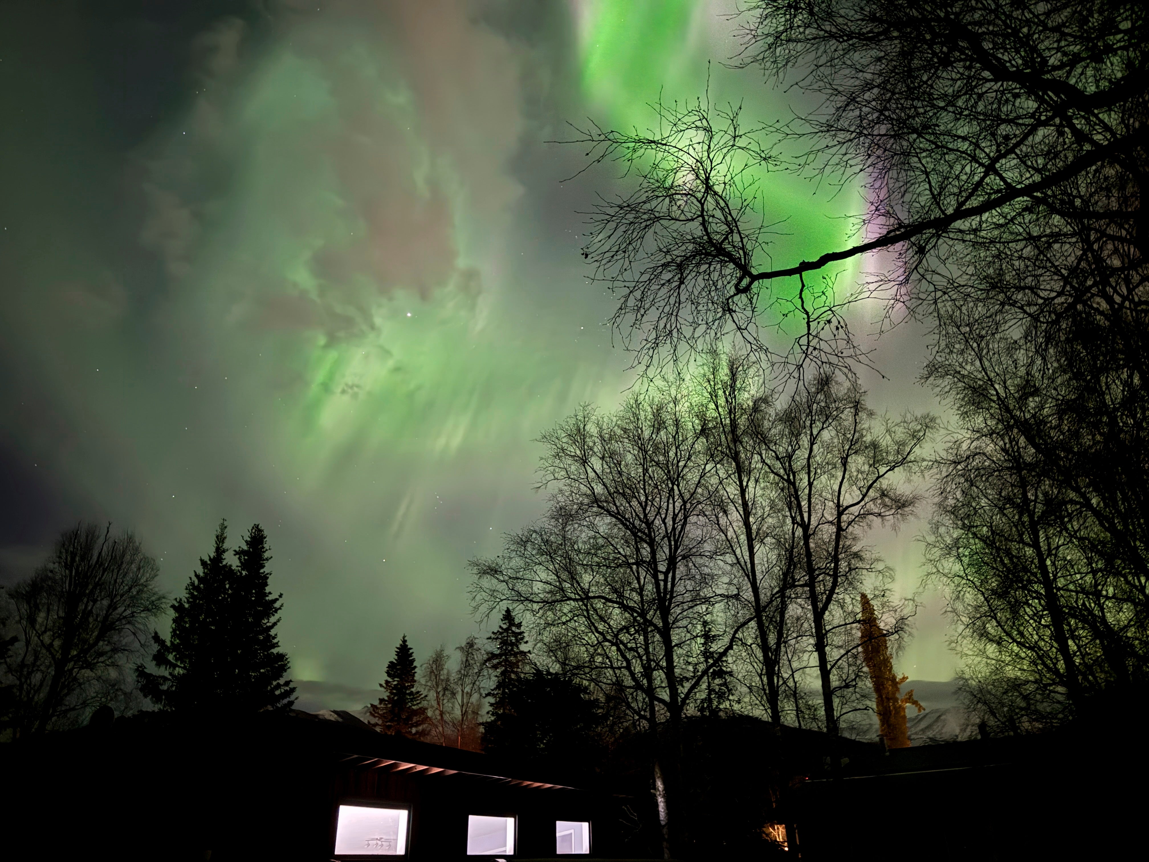 The northern lights appear over Anchorage, Alaska