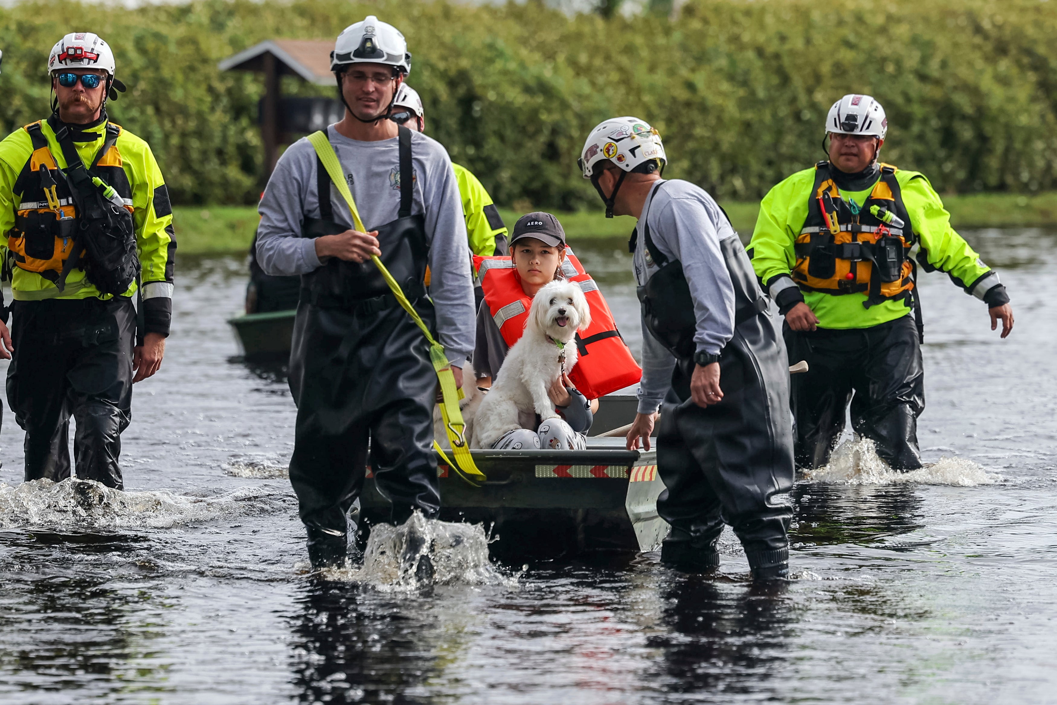 Florida officials are warning that creatures such as alligators or snakes could be lurking in the floodwaters brought on by Hurricane Milton