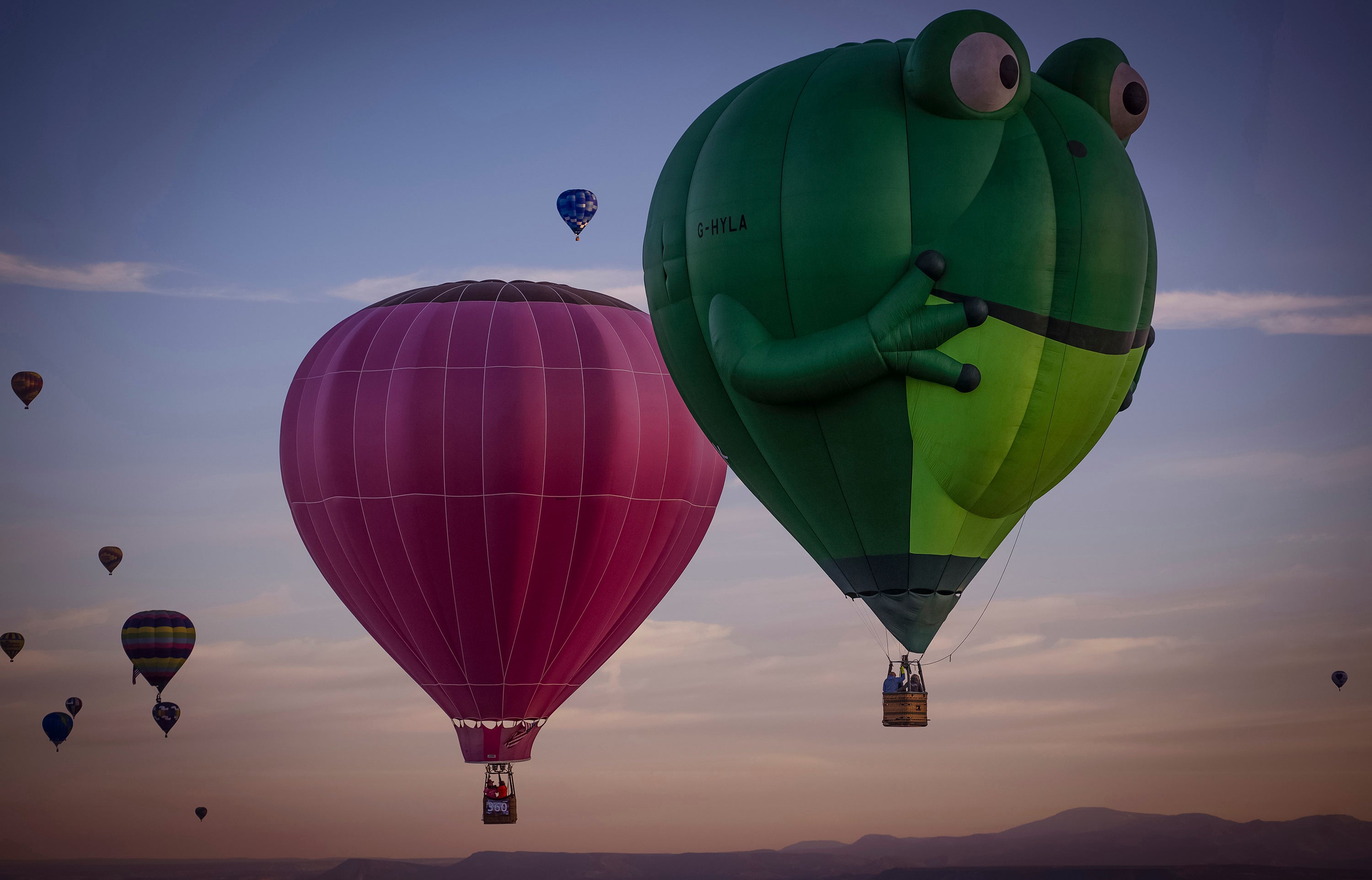 International Balloon Fiesta