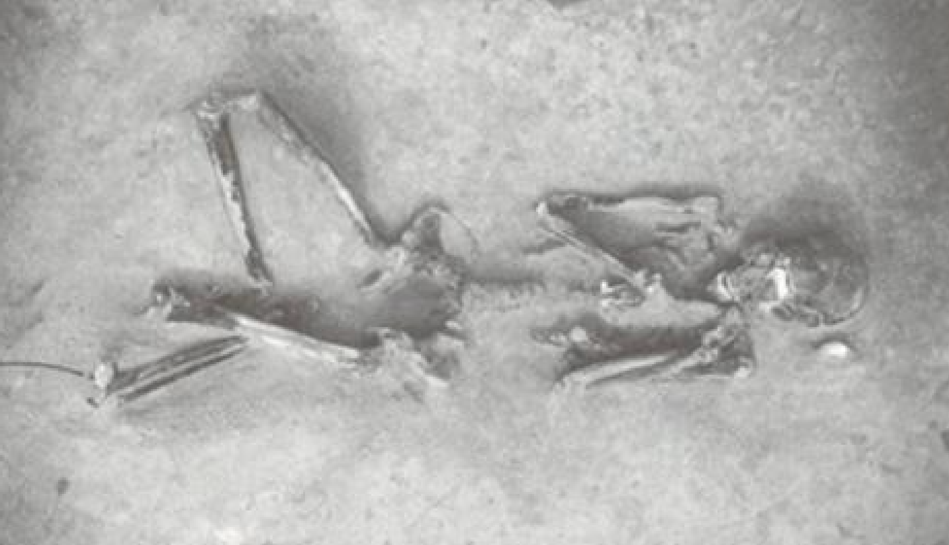 Human remains from Yayoi period about 2,300 years ago