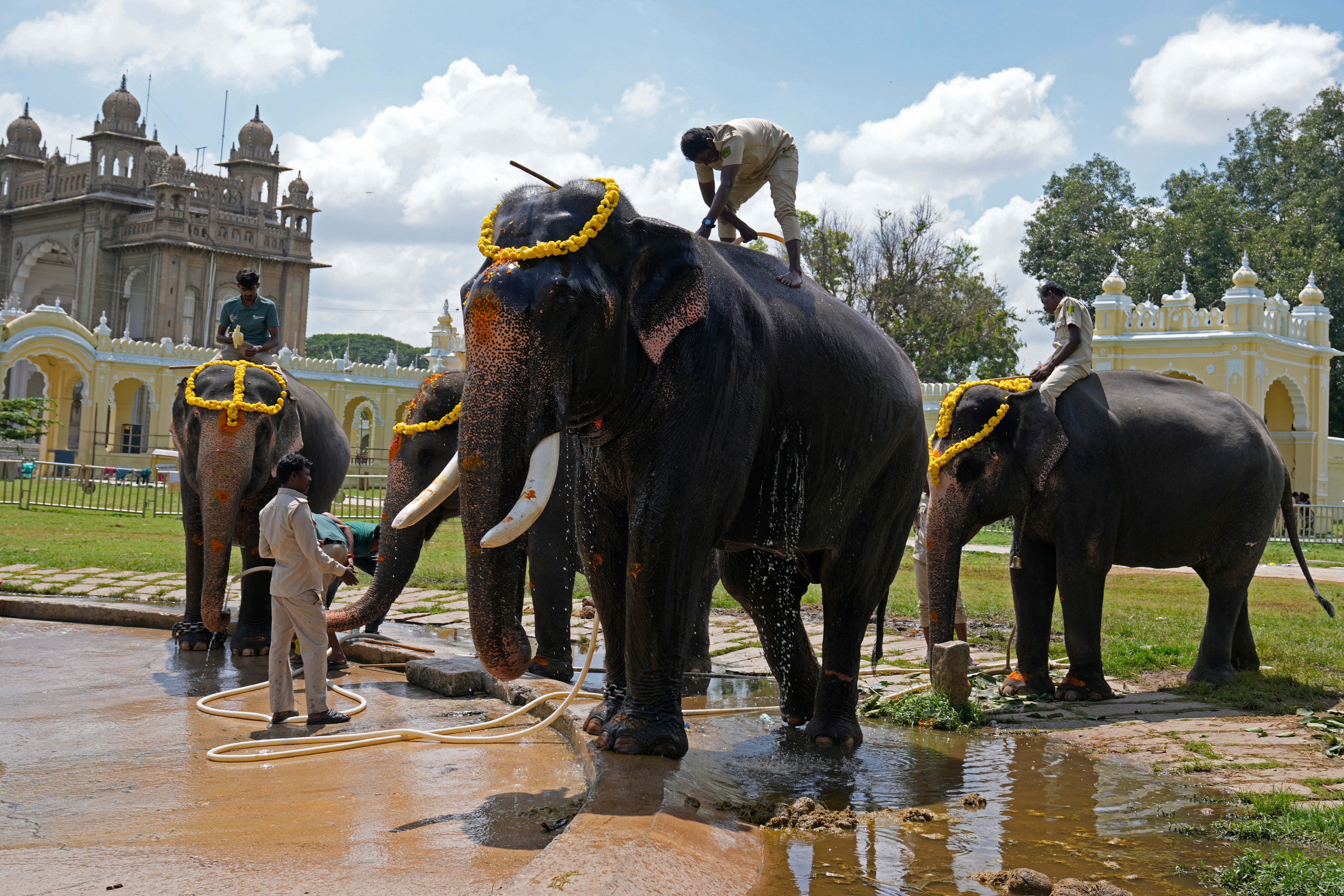 India Mysuru Dussehra Photo Gallery