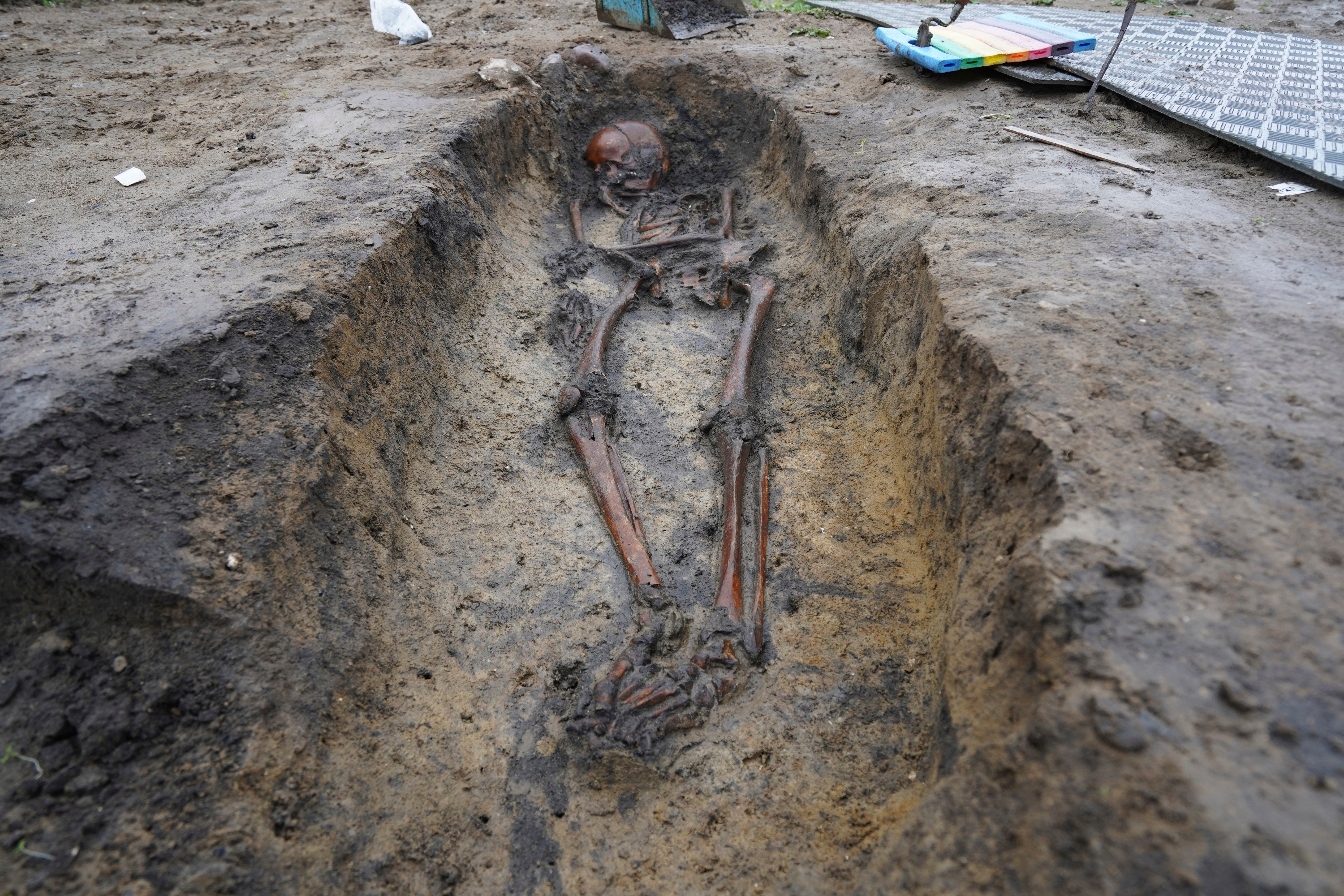 Skeletons and skulls sit in graves at an excavation site of a 10th century Viking burial ground in Aasum, Denmark