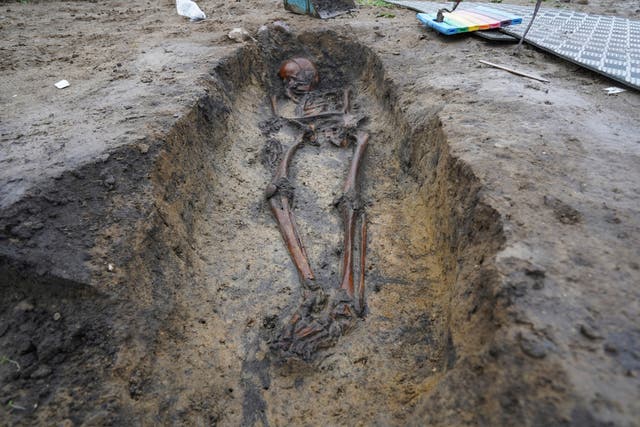 <p>Skeletons and skulls sit in graves at an excavation site of a 10th century Viking burial ground in Aasum, Denmark</p>