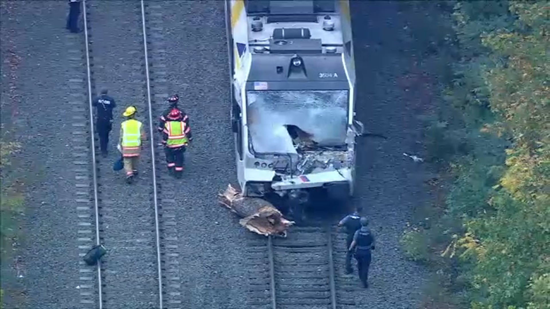 One person is dead and 23 more are injured after a train struck a piece of a tree in New Jersey on Monday