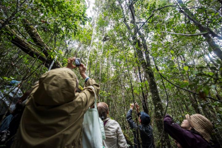 Tourists watching lemurs in Madagascar