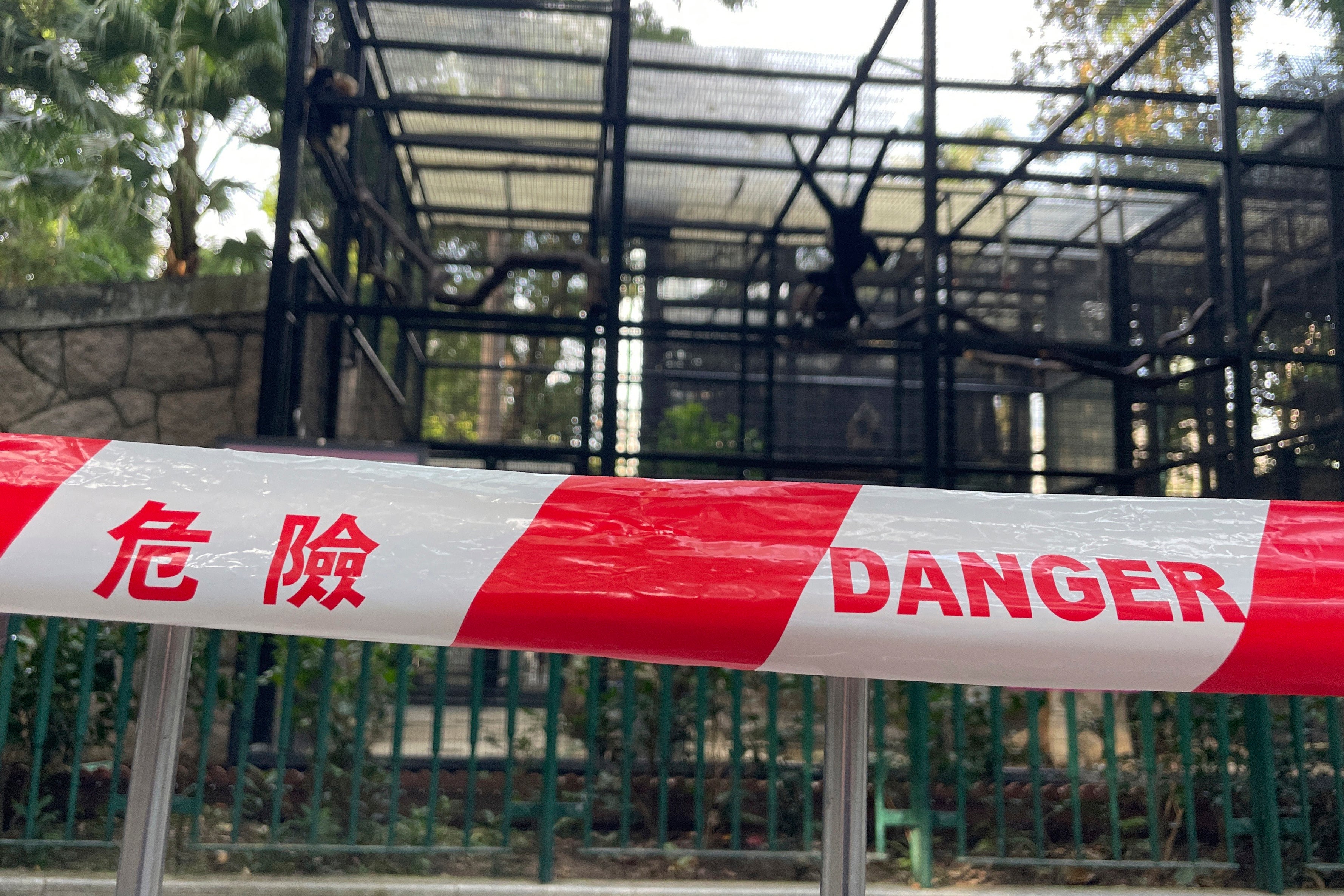 Monkey enclosures are sealed after mysterious deaths at the zoo in Hong Kong