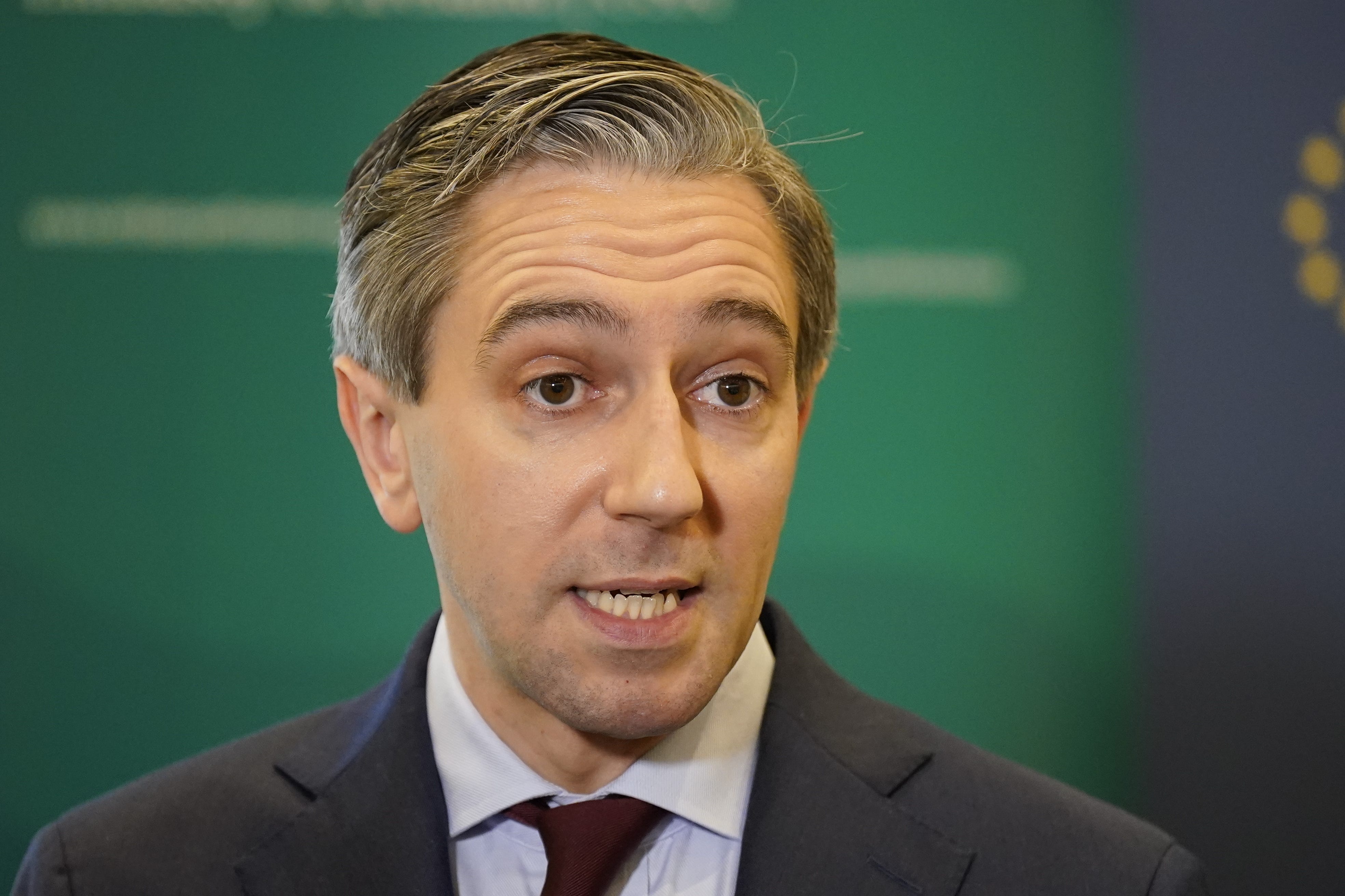 Taoiseach Simon Harris said that Ireland and every other country must work harder to bring about a ceasefire in the Middle East (PA)