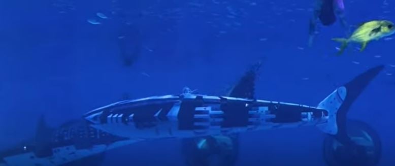 A Chinese company produced the world’s first intelligent robotic whale shark