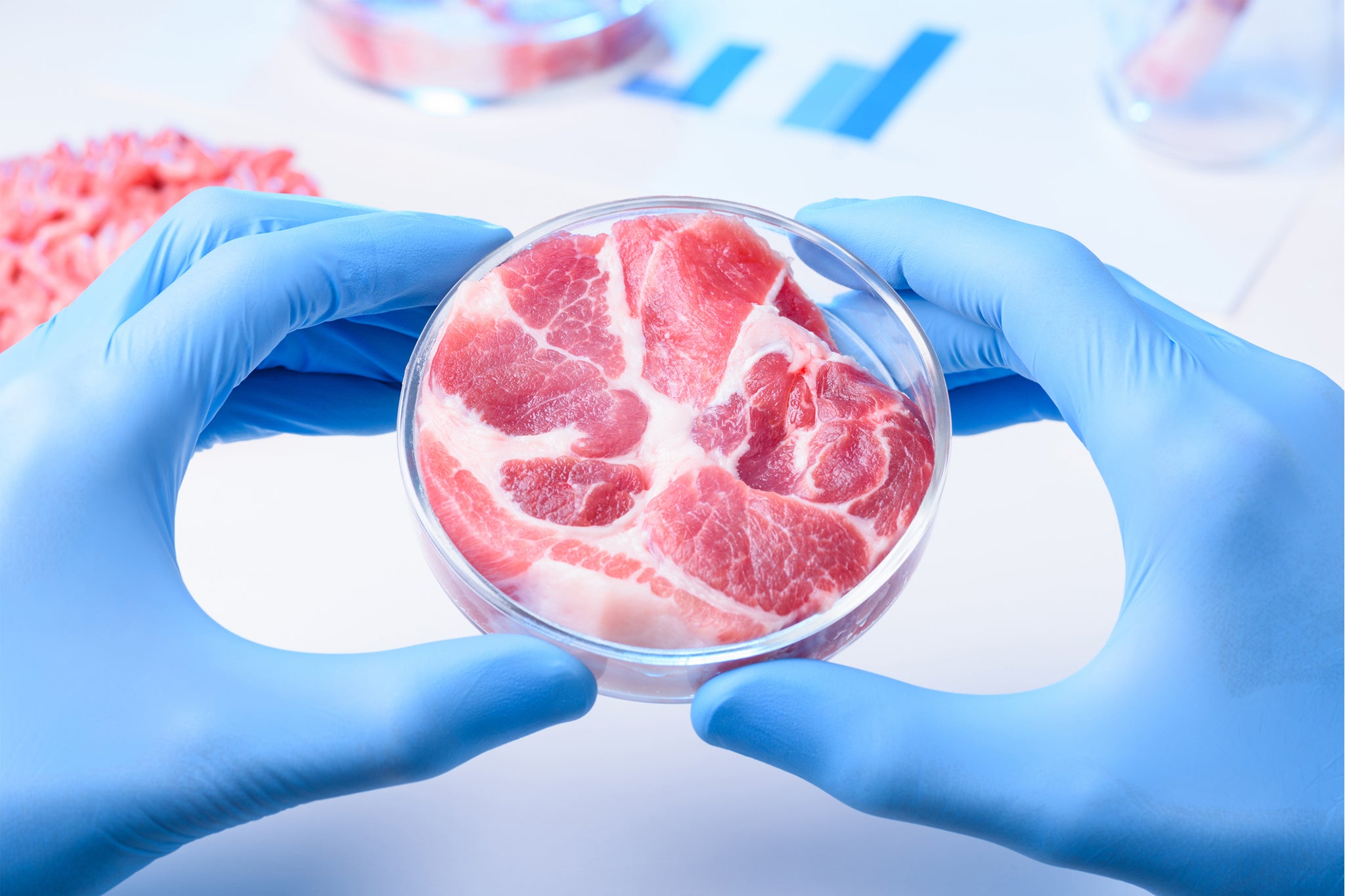 If we can regrow human organs, why not regrow meat?