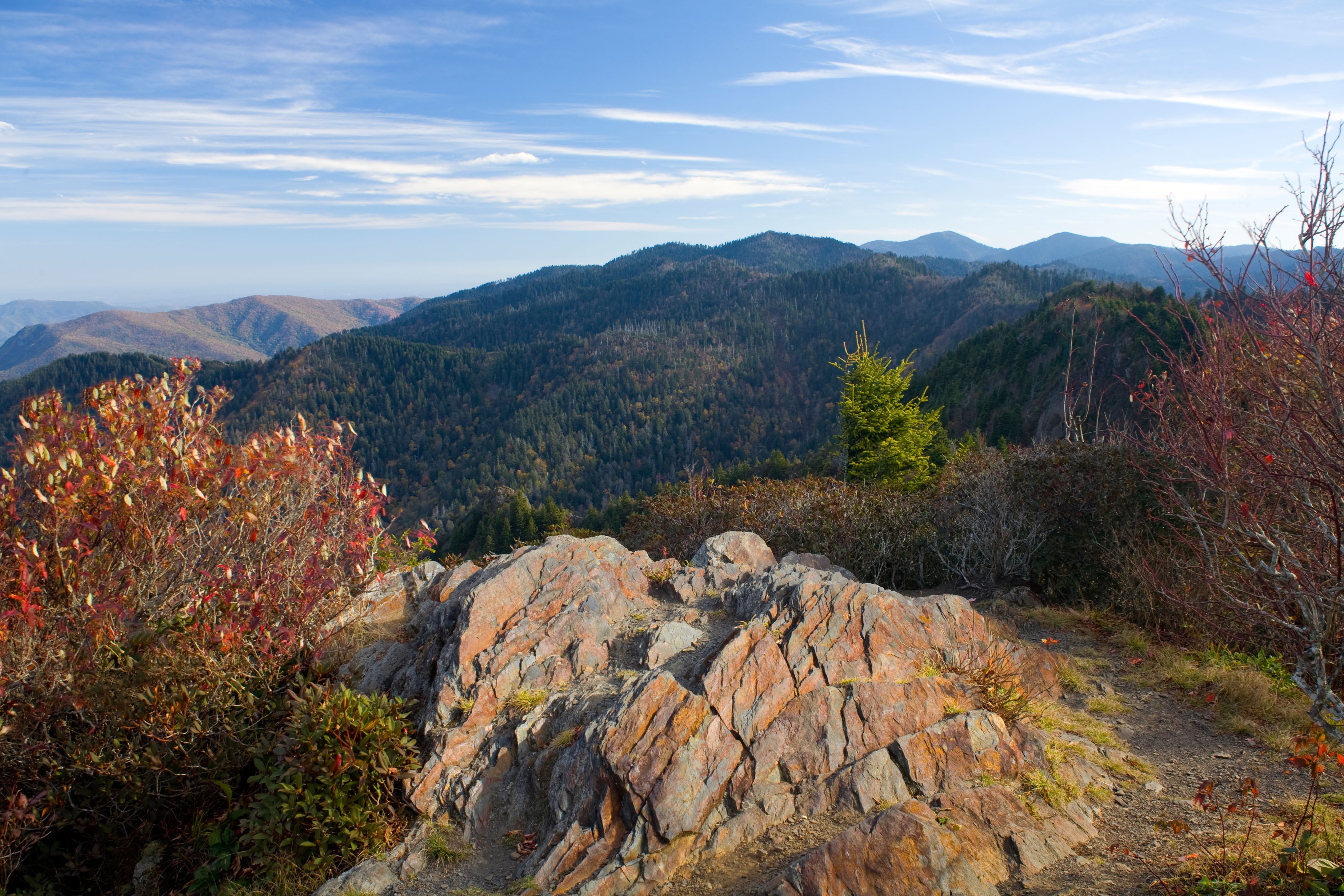 From hiking the breathtaking Appalachians to wildlife spotting on Alligator River and catching a wave at Wrightsville beach, North Carolina makes for the perfect walk on the wild side