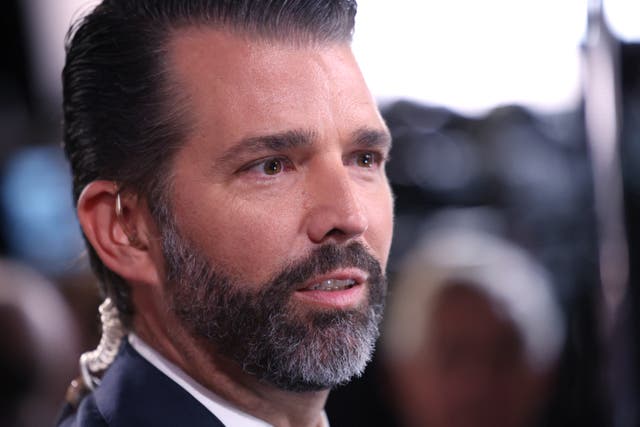 <p>Donald Trump Jr is reportedly helping to  create a list of people who will be banned from serving under his father should the Republican nominee win in November </p>