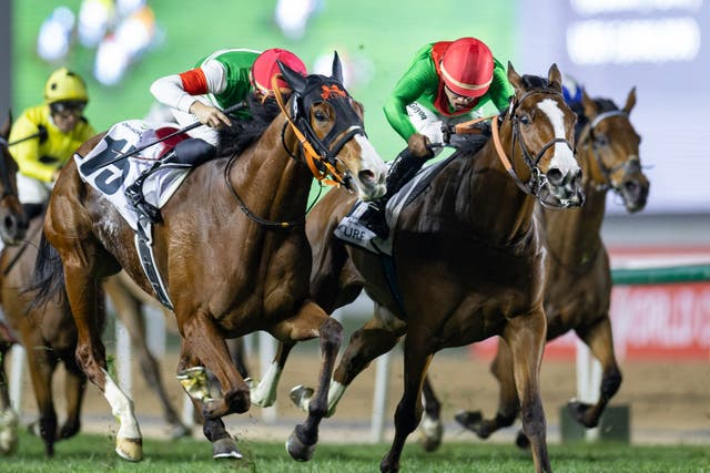 <p>Facteur Cheval (right) is our tip to win the Queen Elizabeth II Stakes </p>