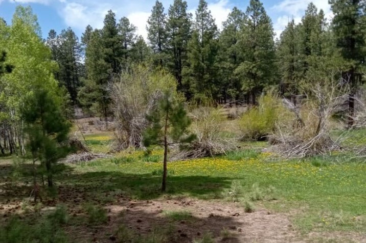 The dispute centers around 1,400 acres of land in the San Juan National Forest, near the town of Mancos in Colorado