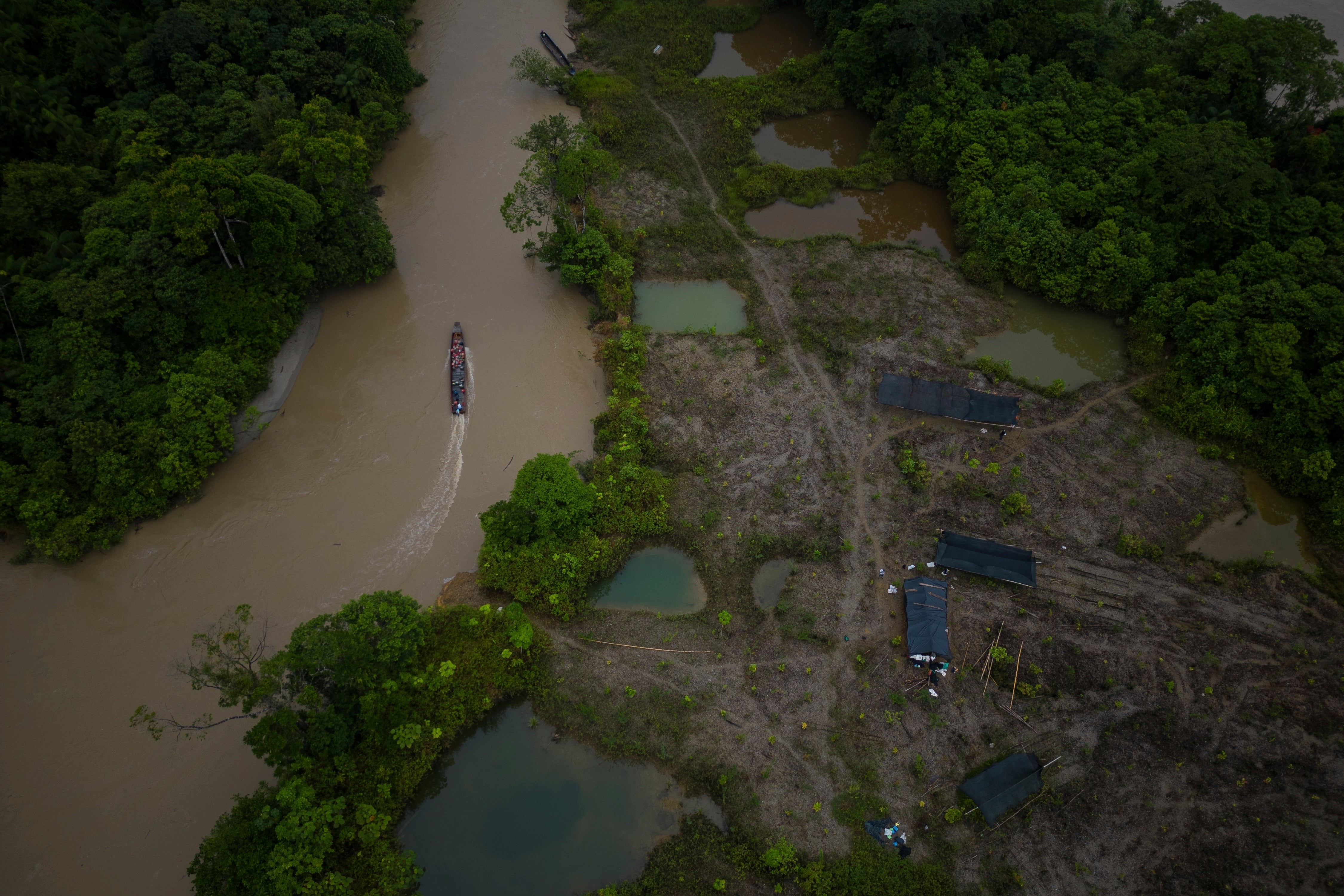 APTOPIX Climate COP16 Colombia Reforestation