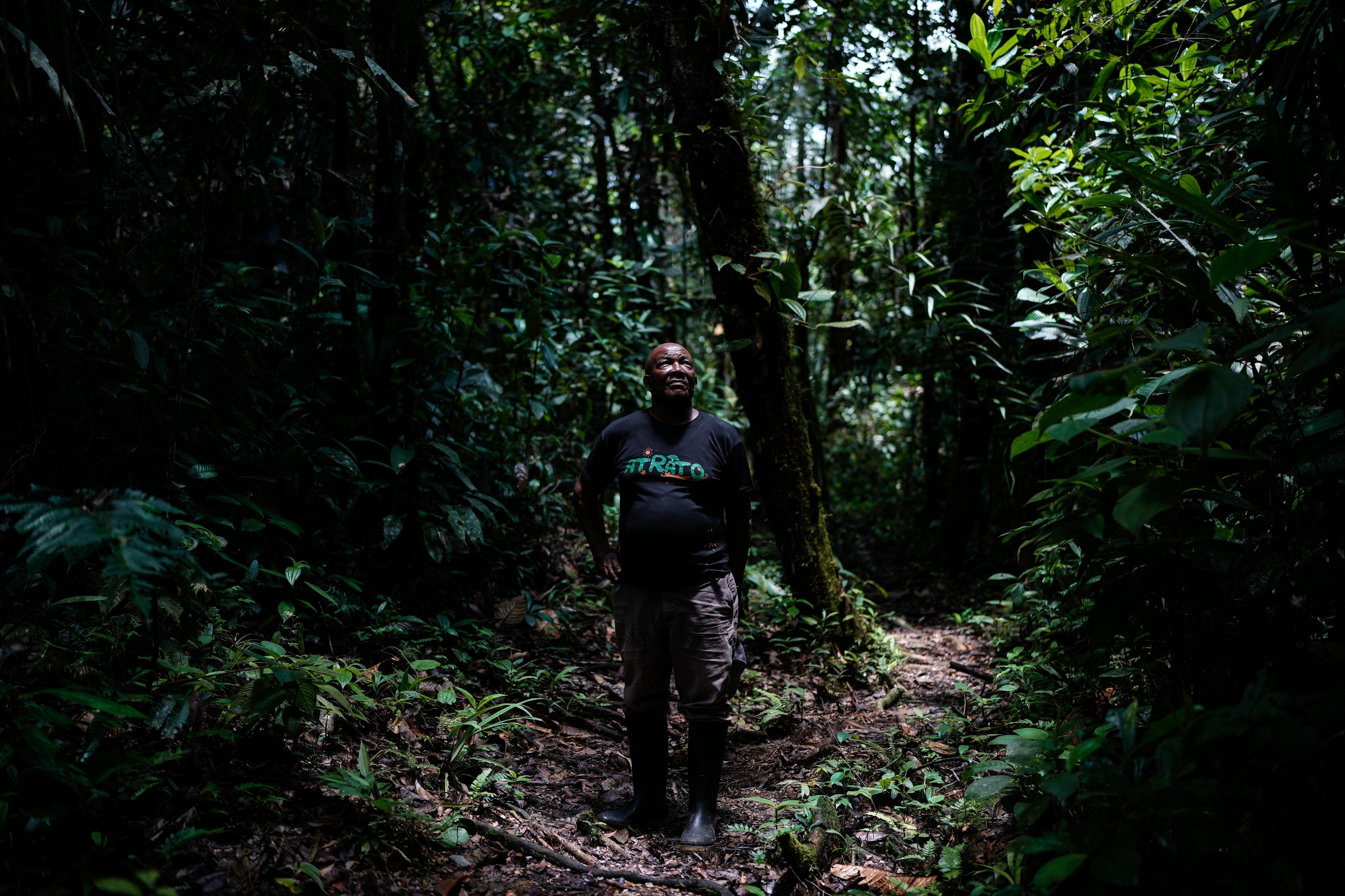 Climate COP16 Colombia Reforestation