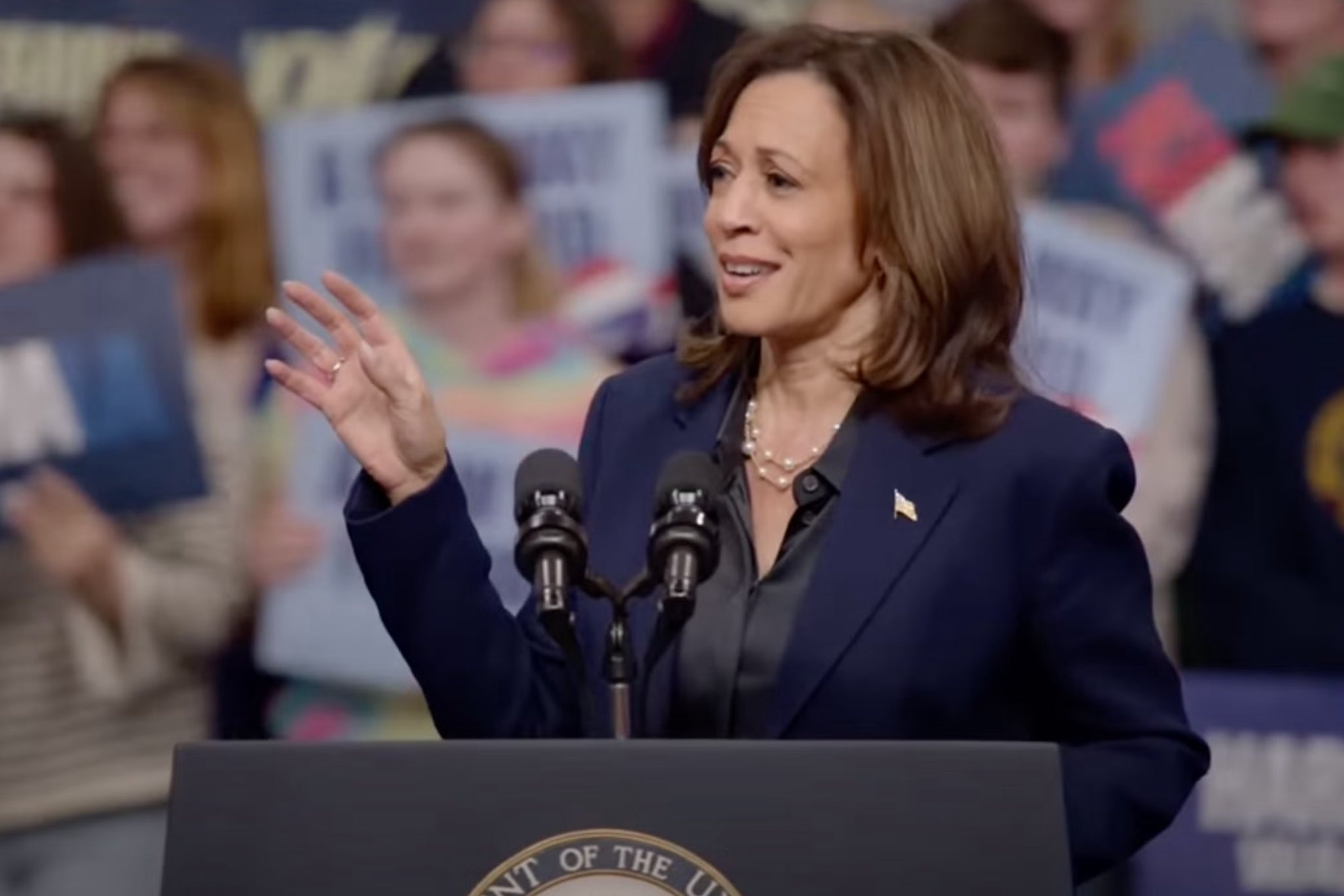 Kamala Harris looks on at hecklers before delivering a scathing two-sentence rebuke to a cheering crowd