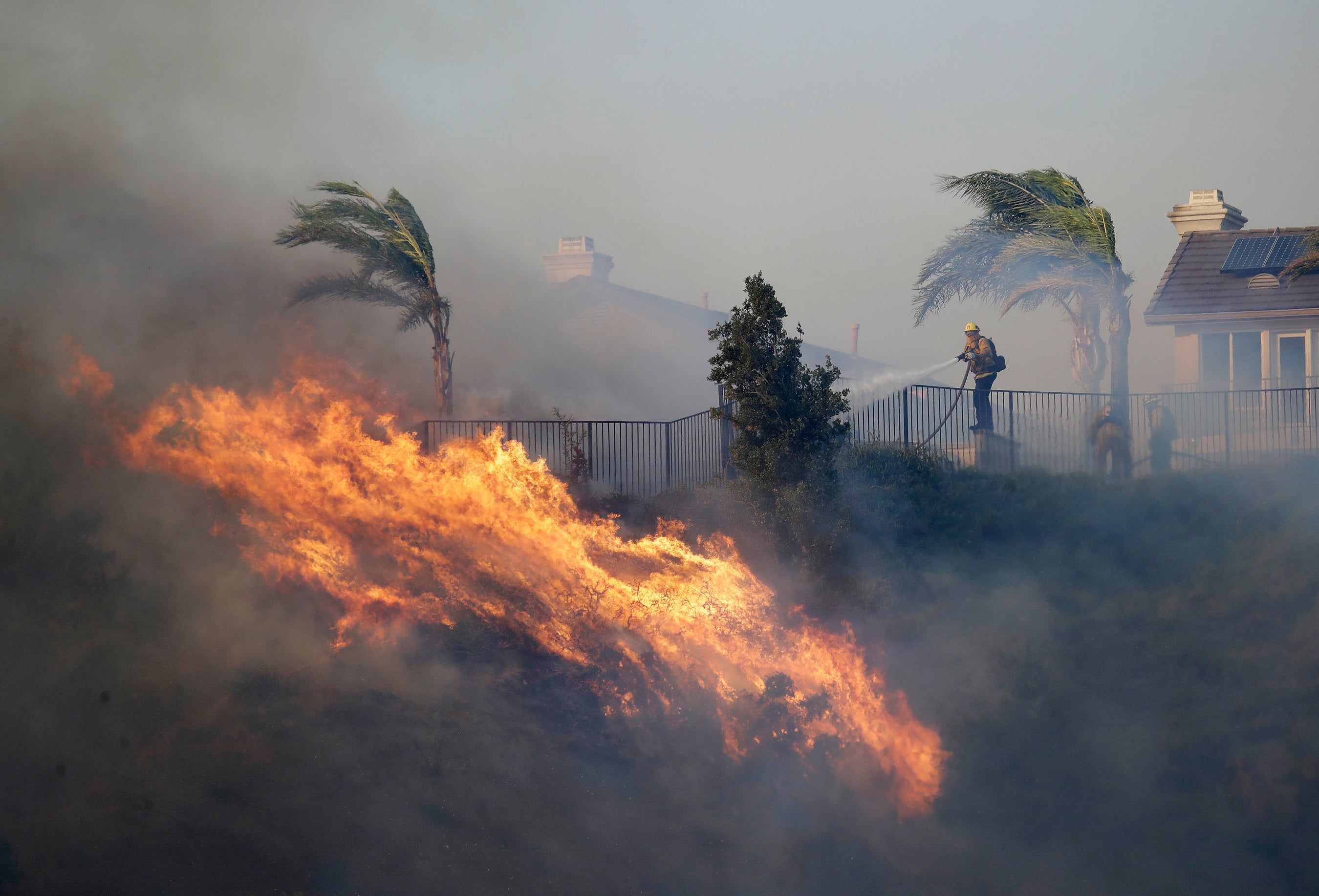 California Diablo Wind