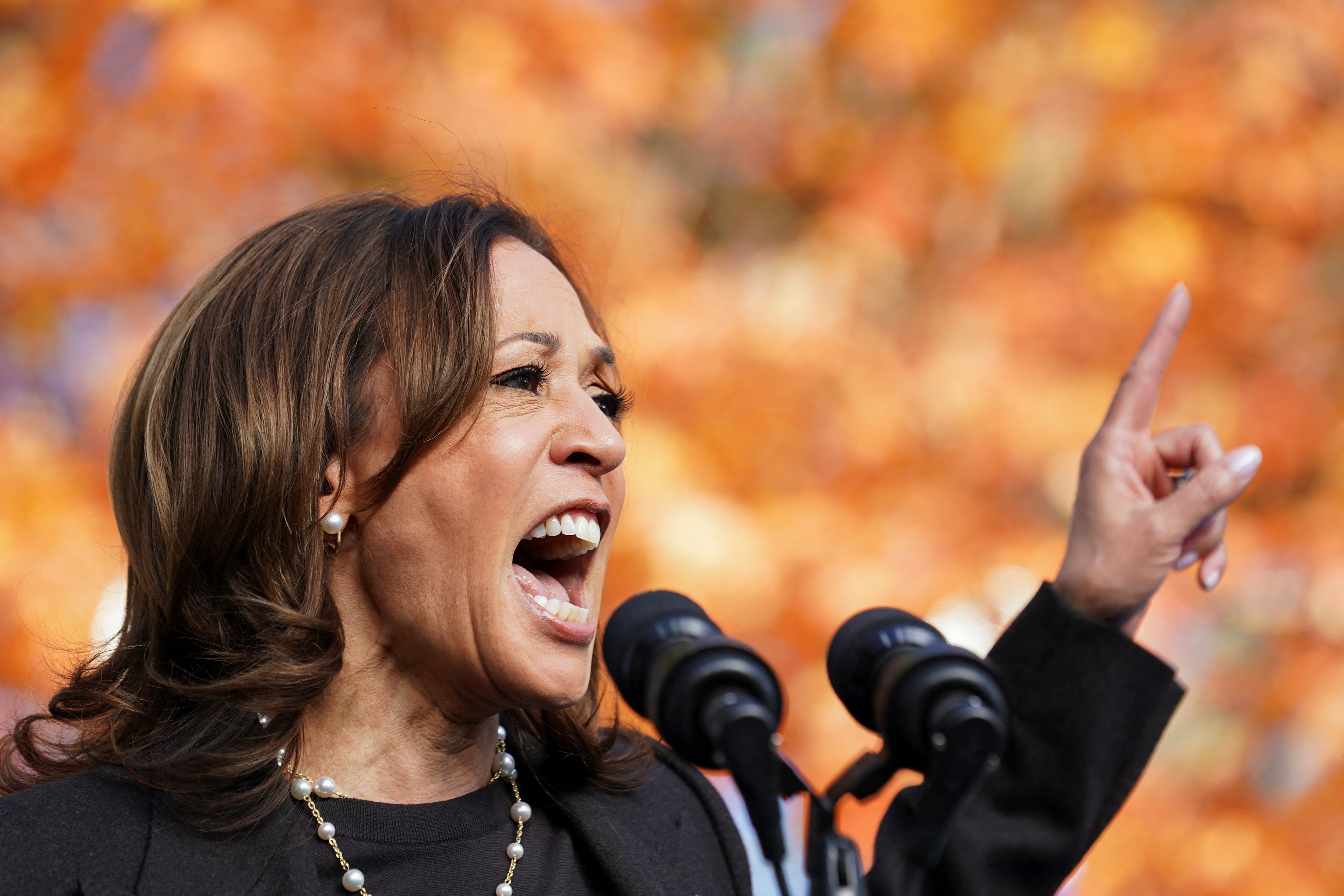 Kamala Harris is placing ads on websites for sports and video games in an effort to win the ‘bro vote’ as Donald Trump leads in polls among men