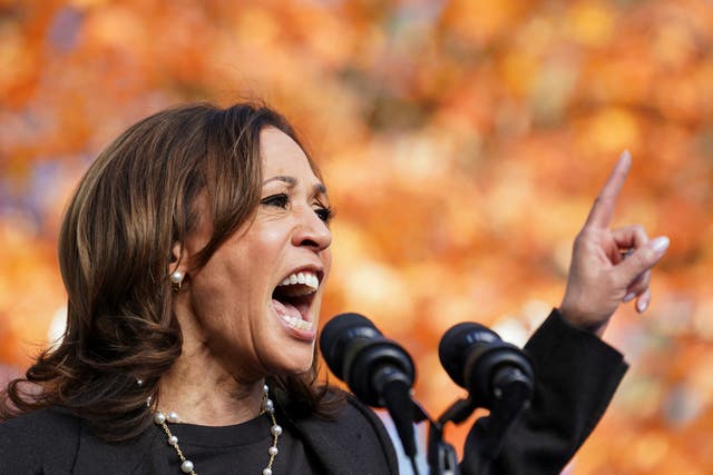 <p>Kamala Harris is placing ads on websites for sports and video games in an effort to win the ‘bro vote’ as Donald Trump leads in polls among men </p>