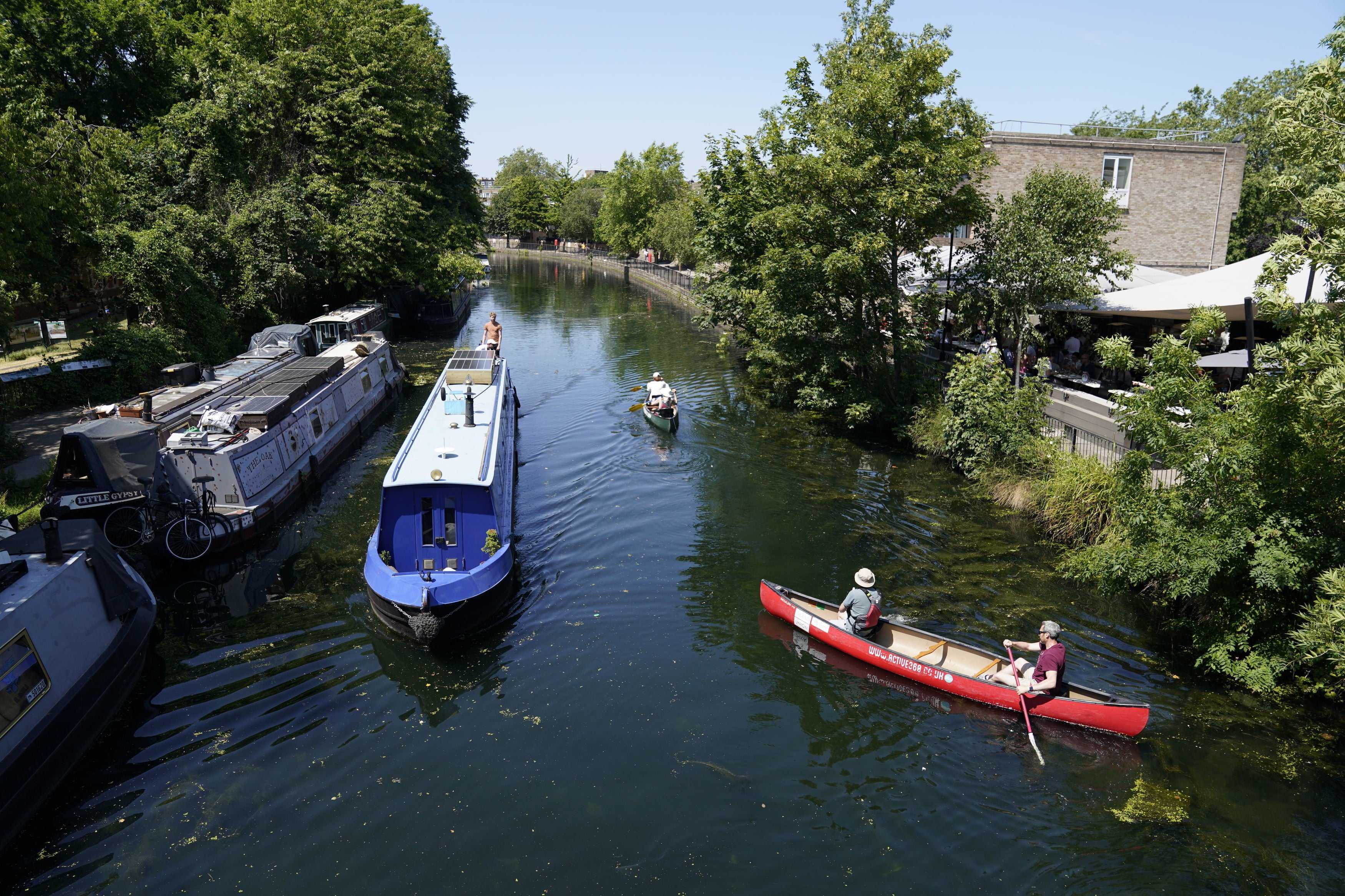 The birds have been found on the Grand Union Canal in the Uxbridge area. Picture shows the canal, opened in 1805, near Maida Vale.